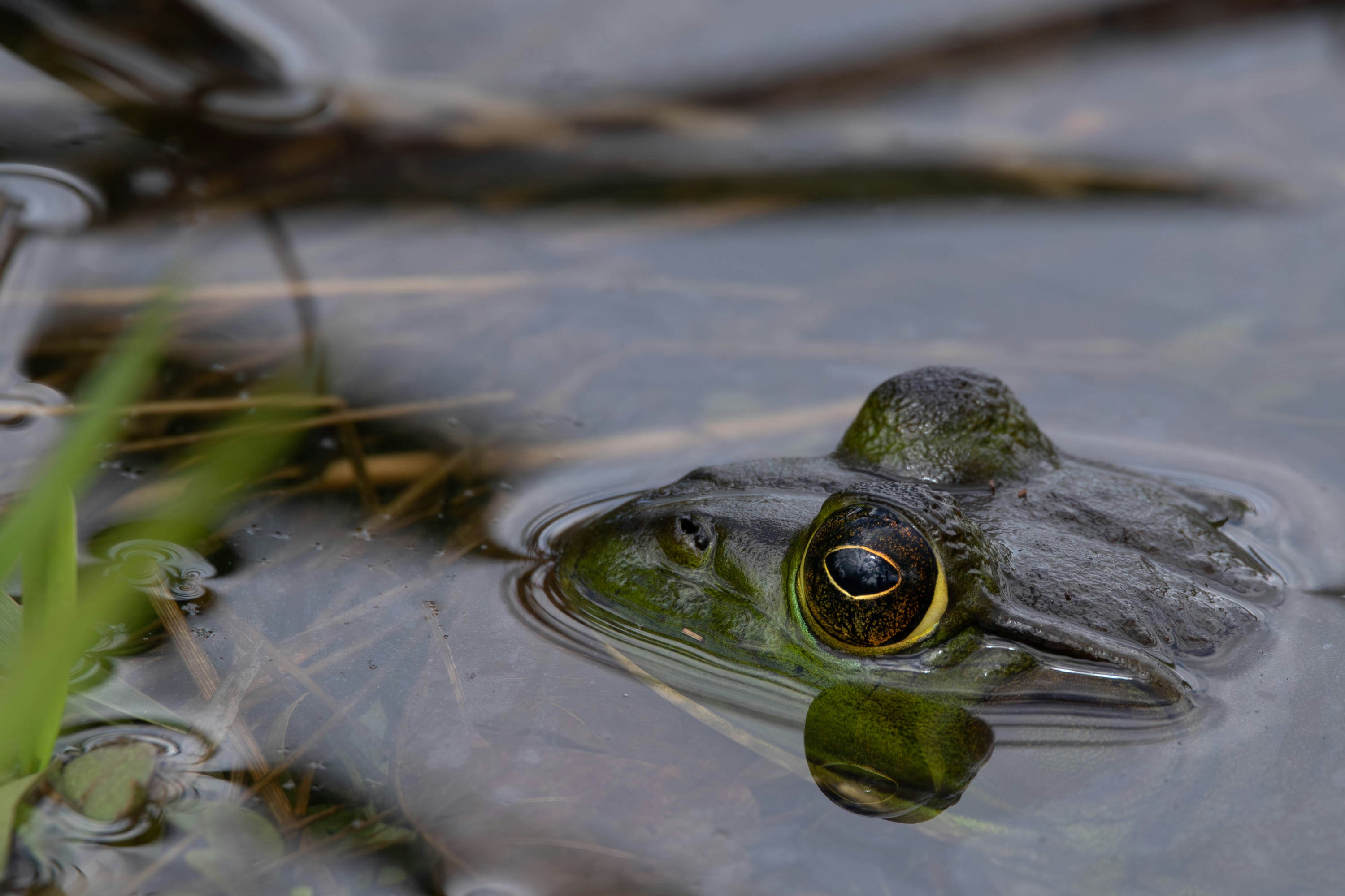 Photo by ucwhphotography