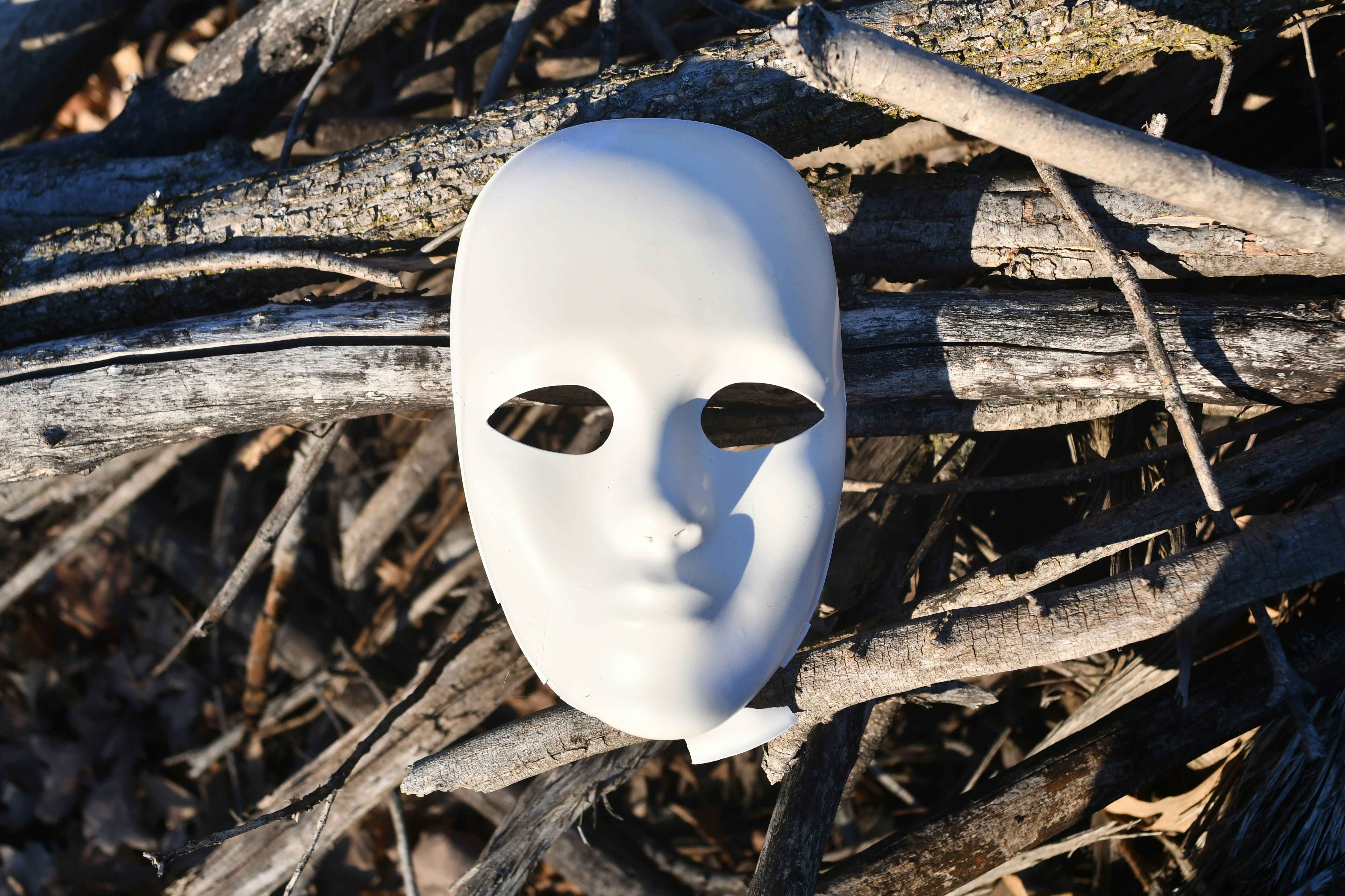A white mask rests on dead branches.