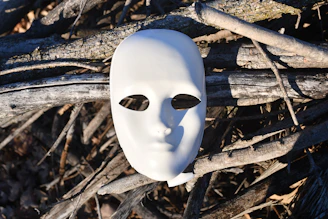 A white mask rests on dead branches.
