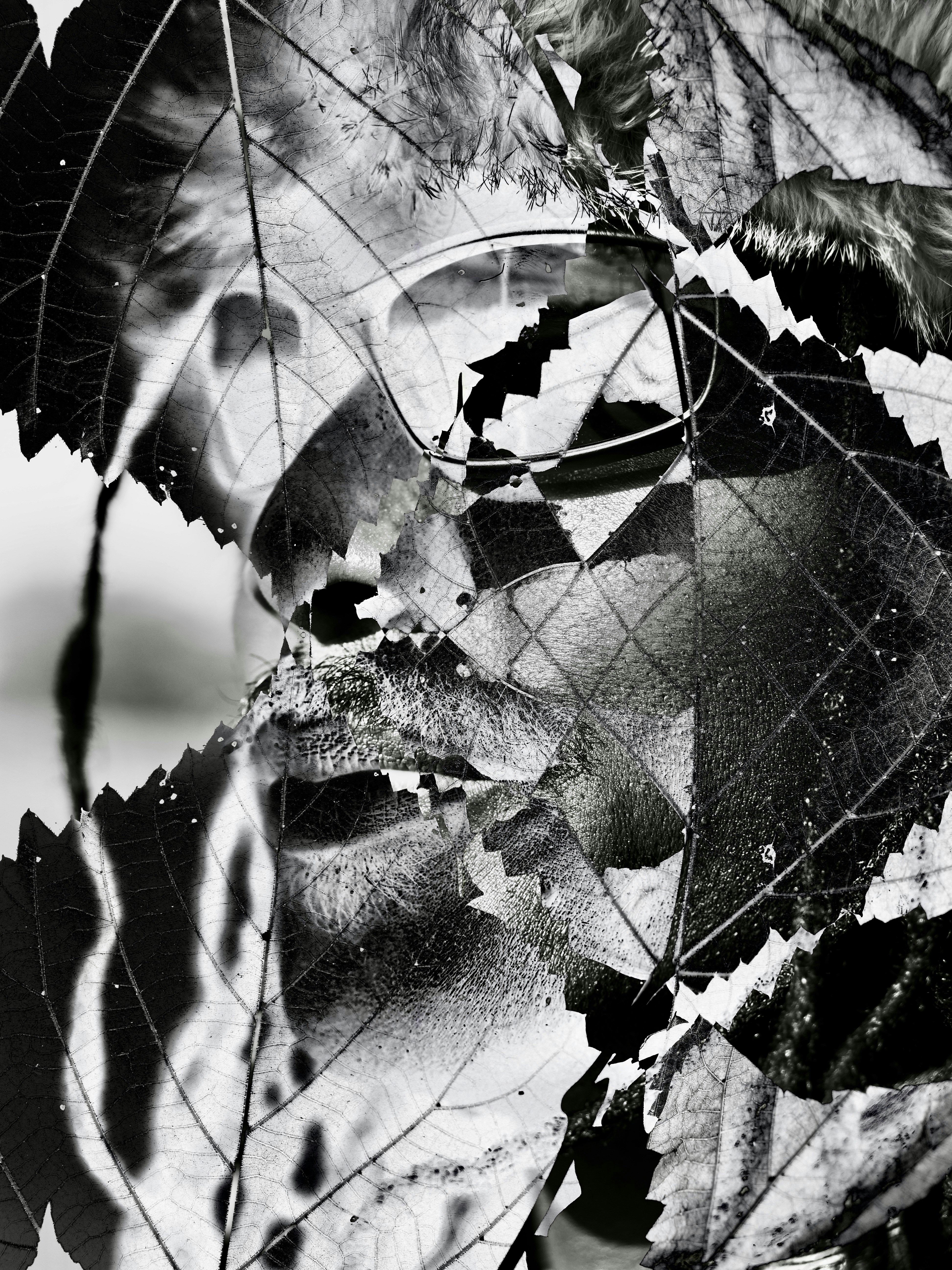 Photo by sschusterphotoart