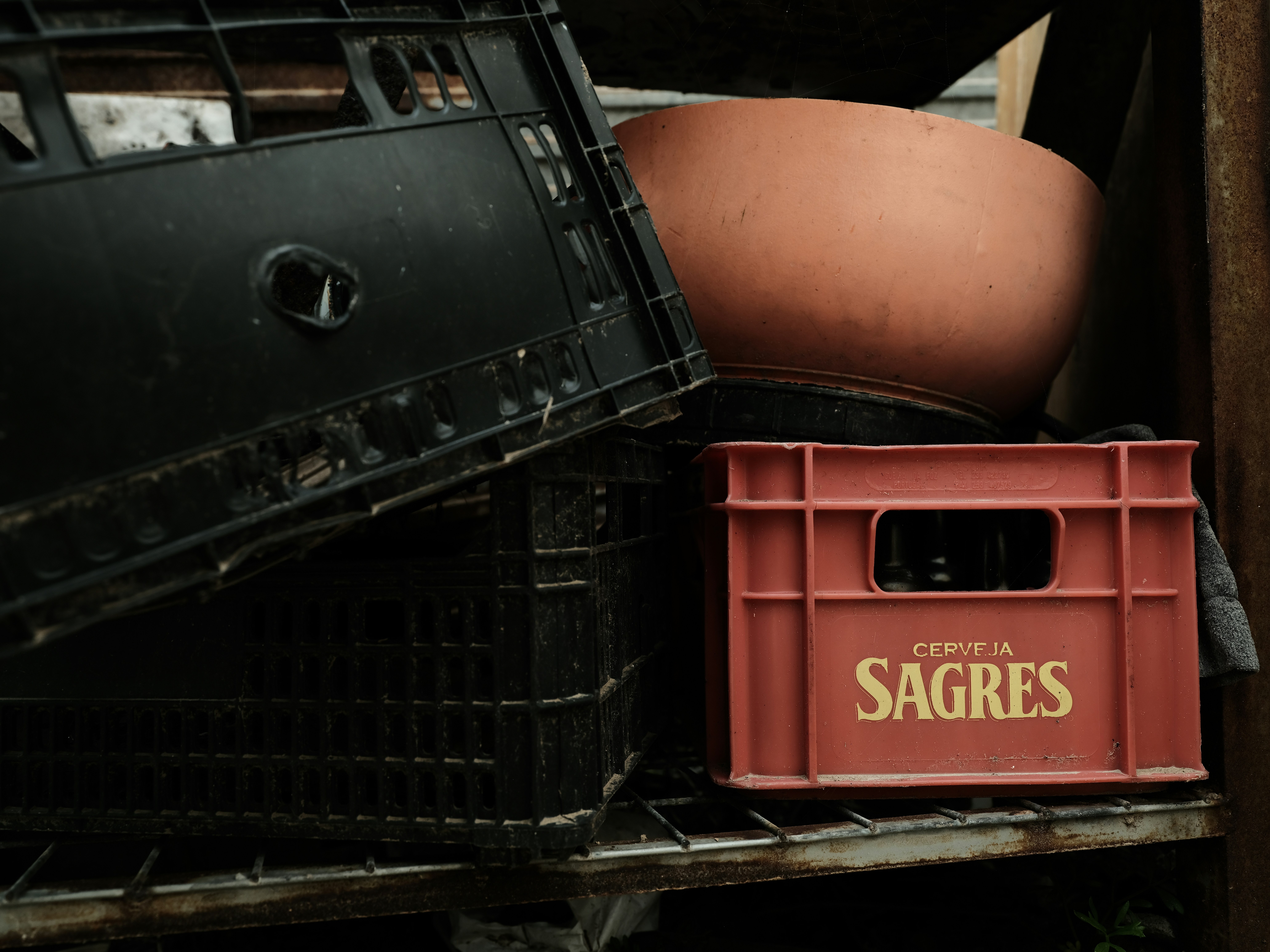 Scripps Shares Surge 35% on Unsolicited Takeover Bid from Sinclair