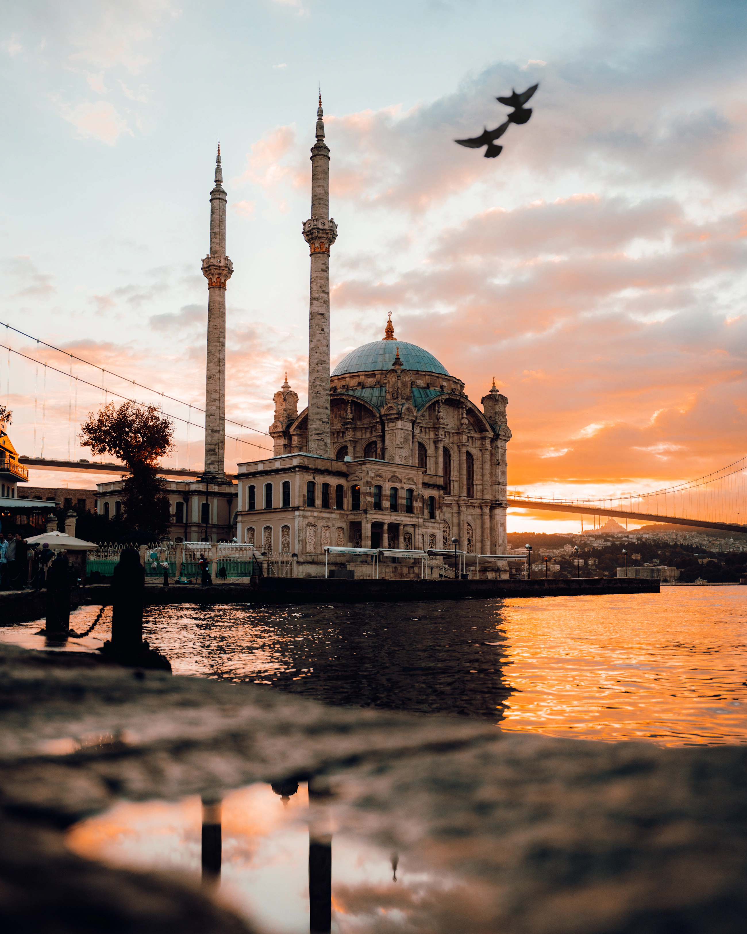 Golden-hour Istanbul mosque and waterfront with birds above the Bosphorus, Turkey