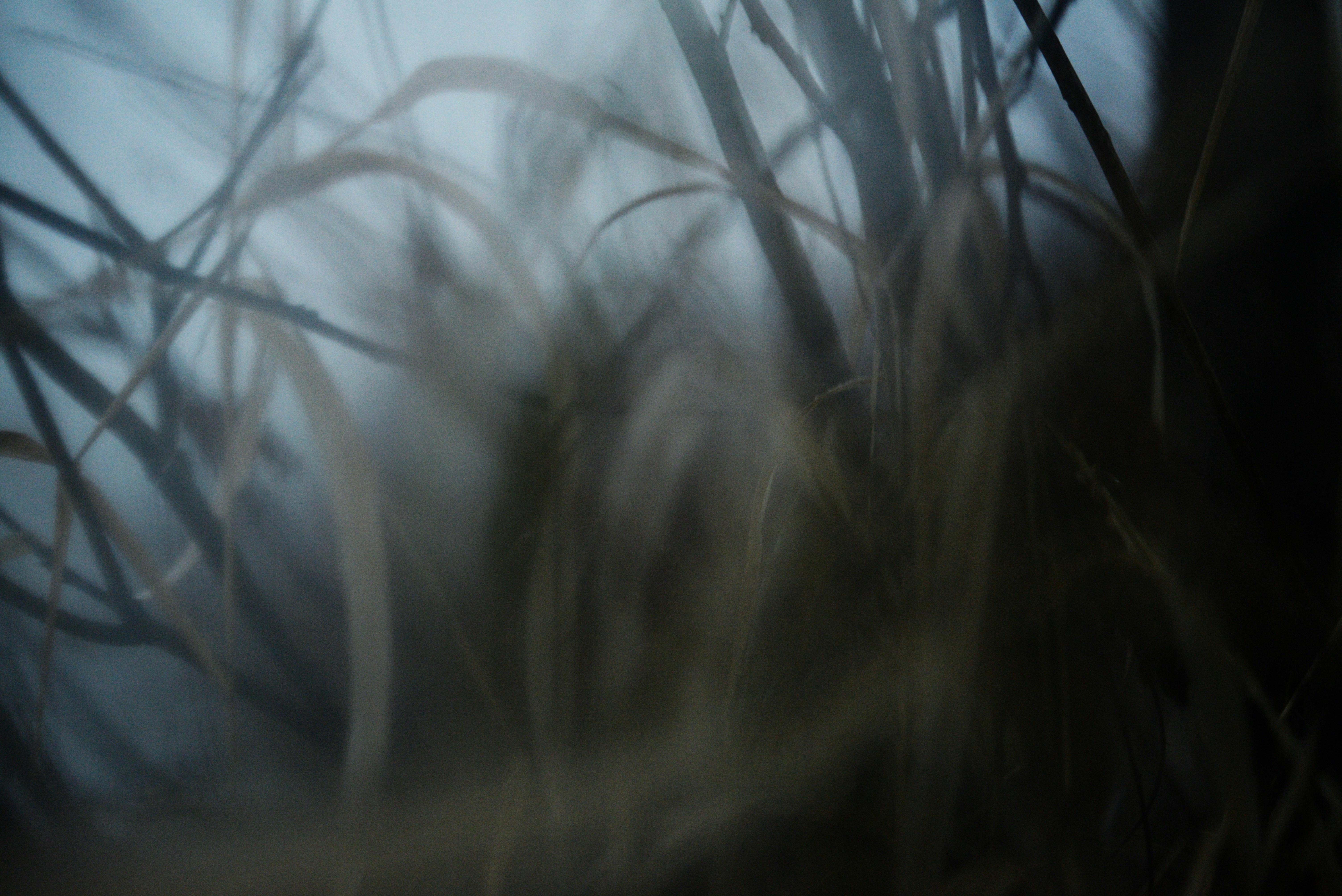 Photo by cherstve_pechivo