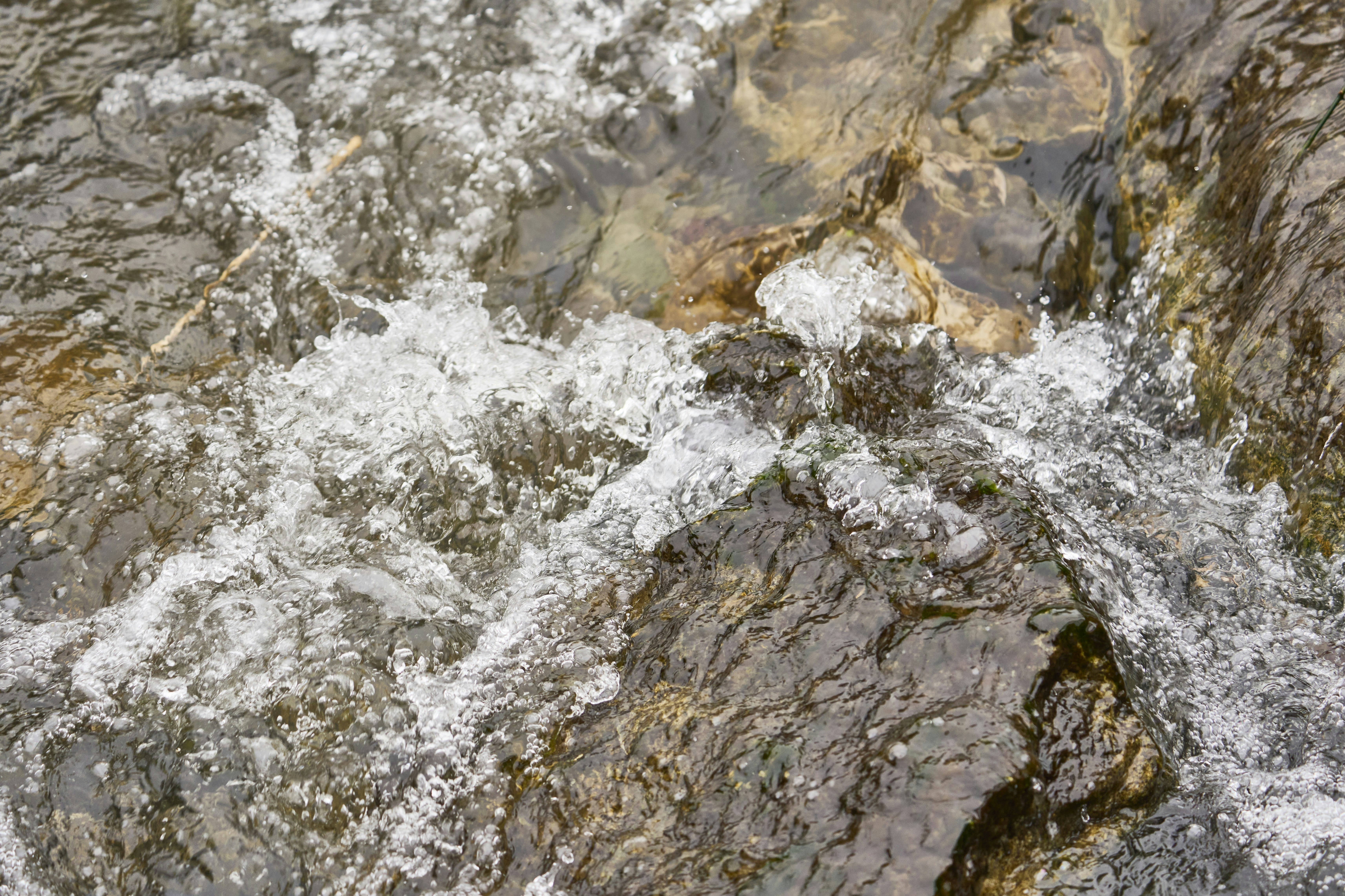 Photo by wolfgang_hasselmann