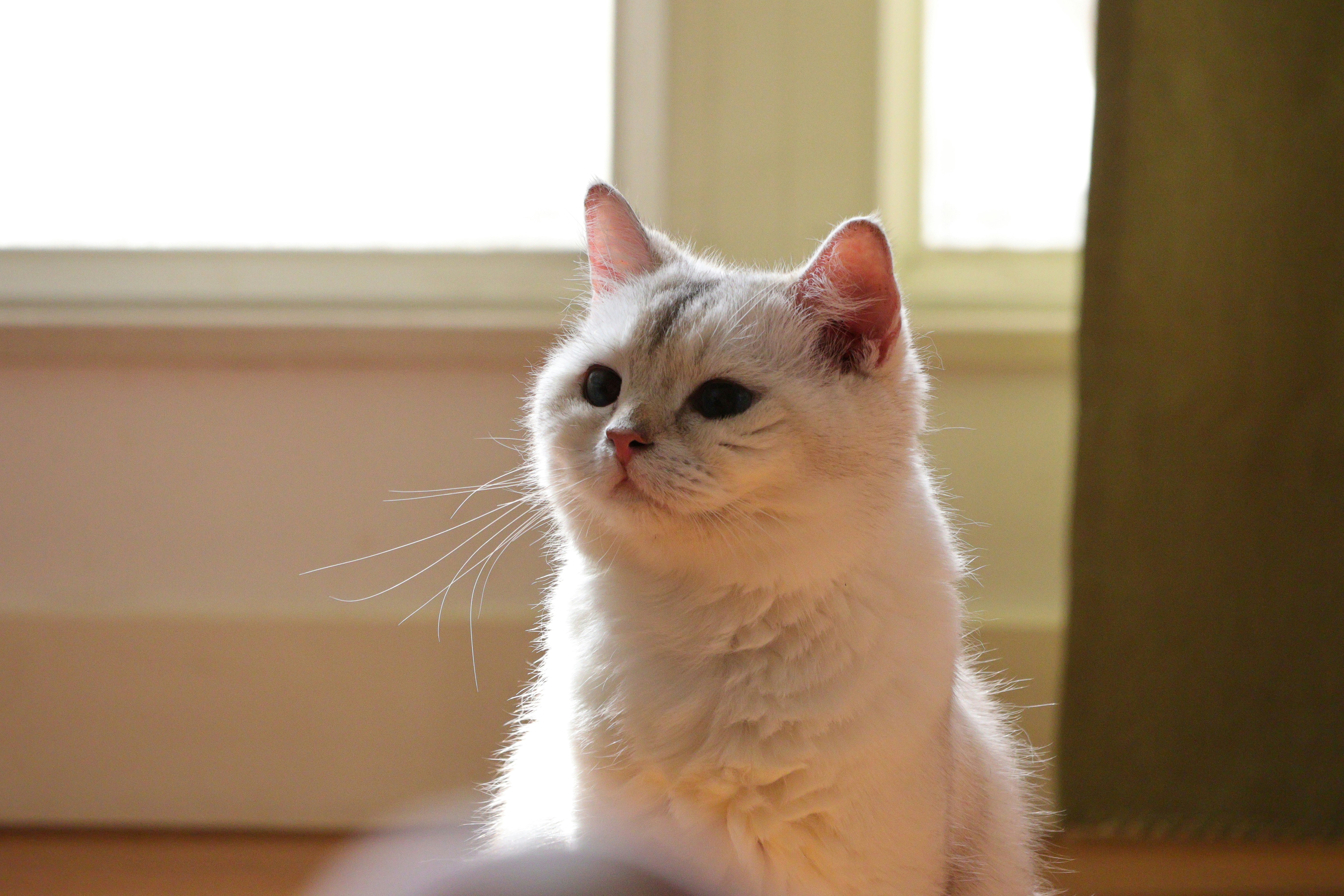 Photo by matthewchow