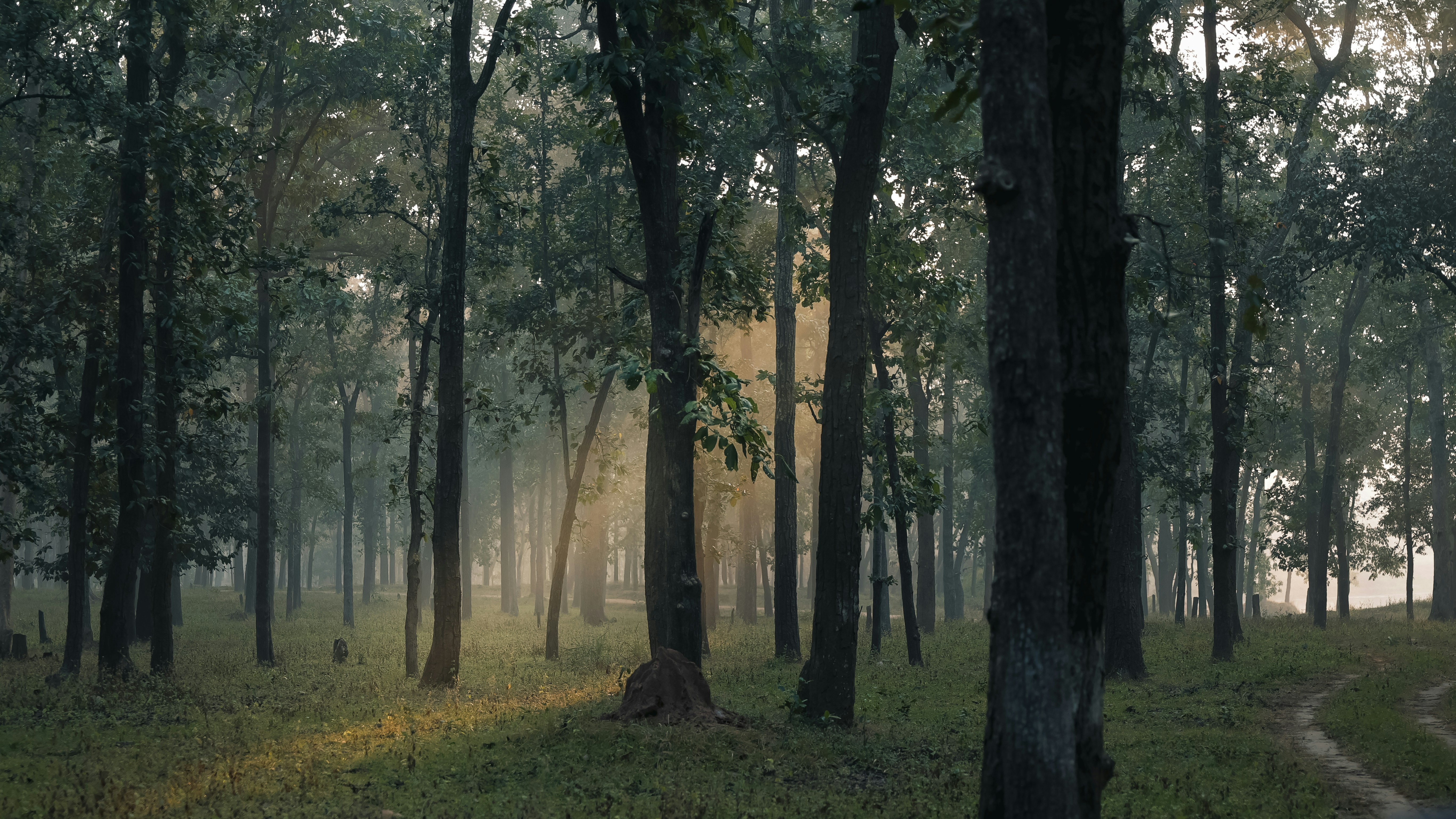 Photo by adnan_saifeee