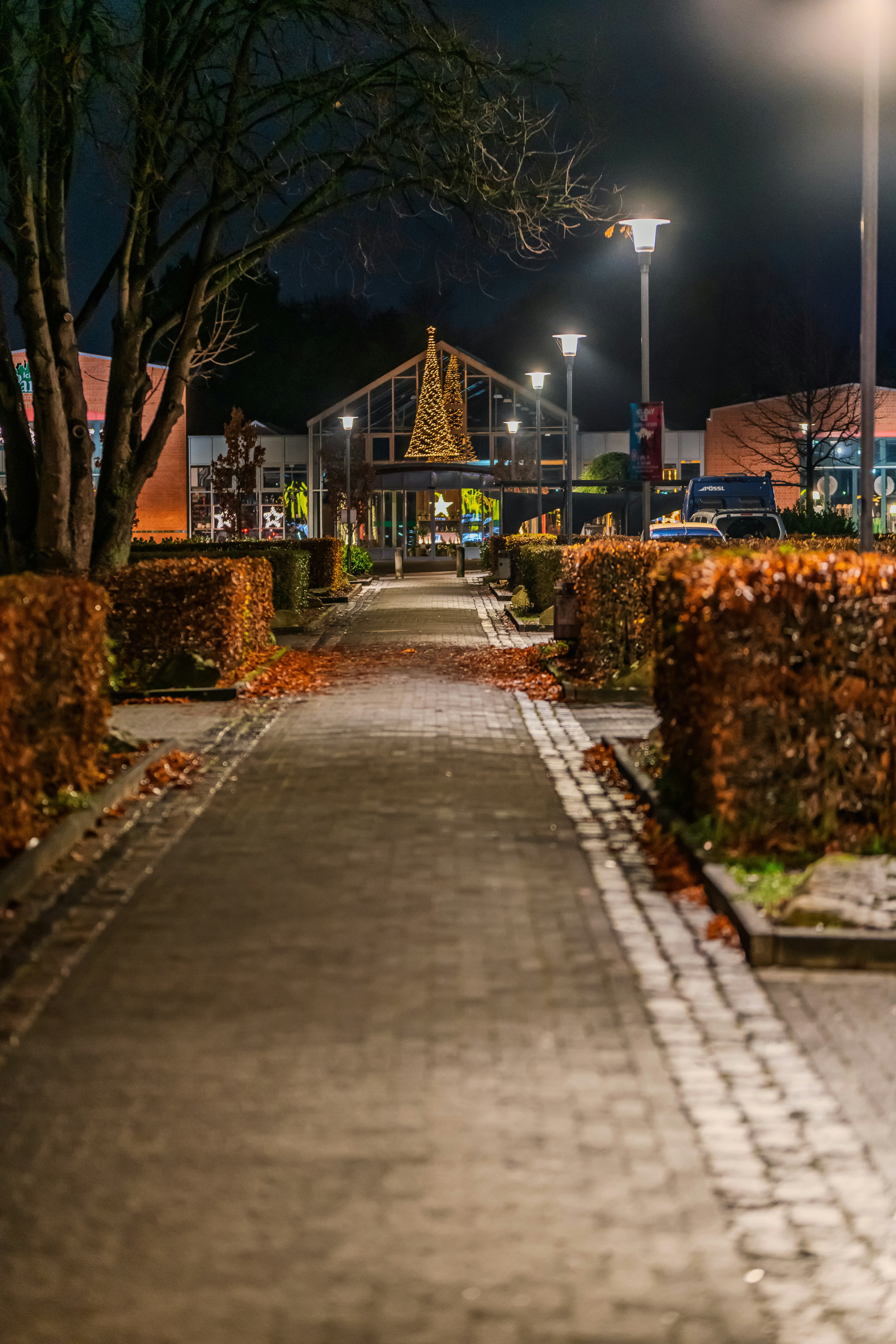 A pathway to a building at night