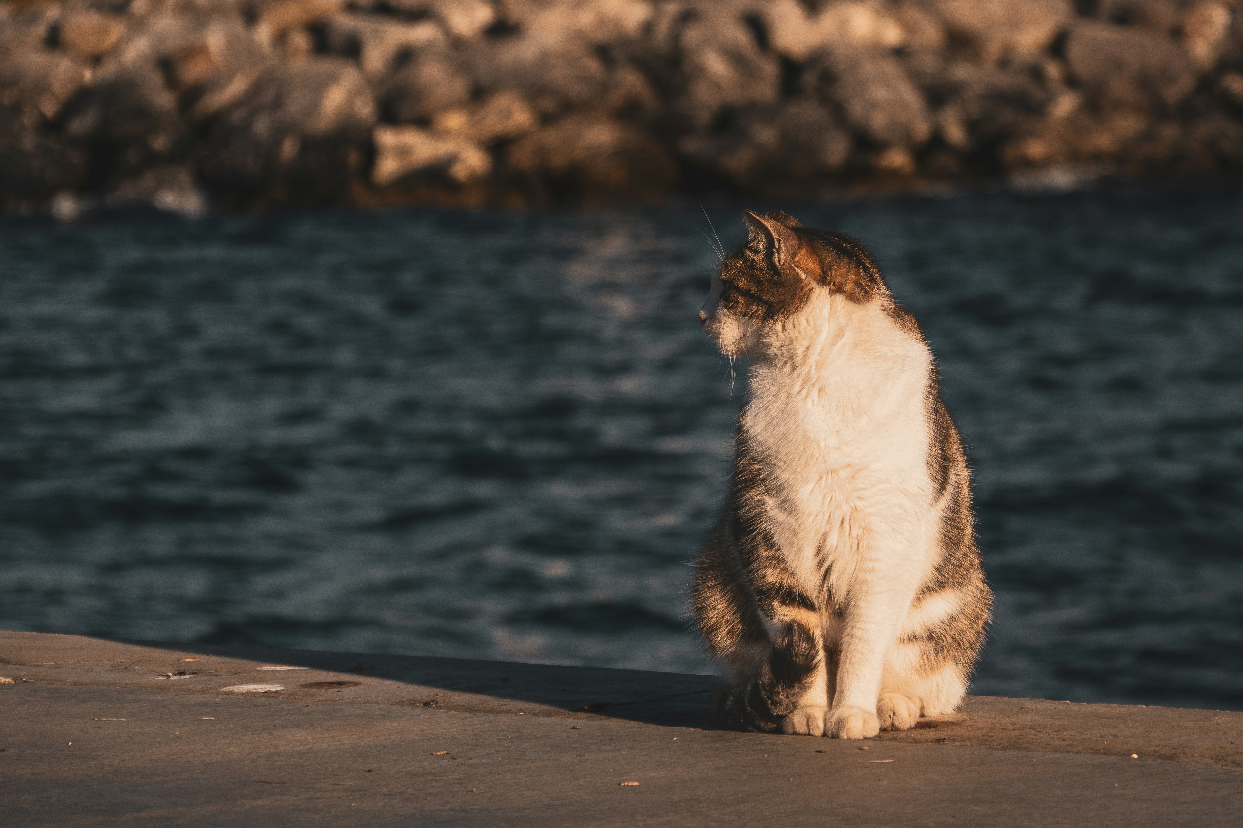 Photo by tunahankuzgun