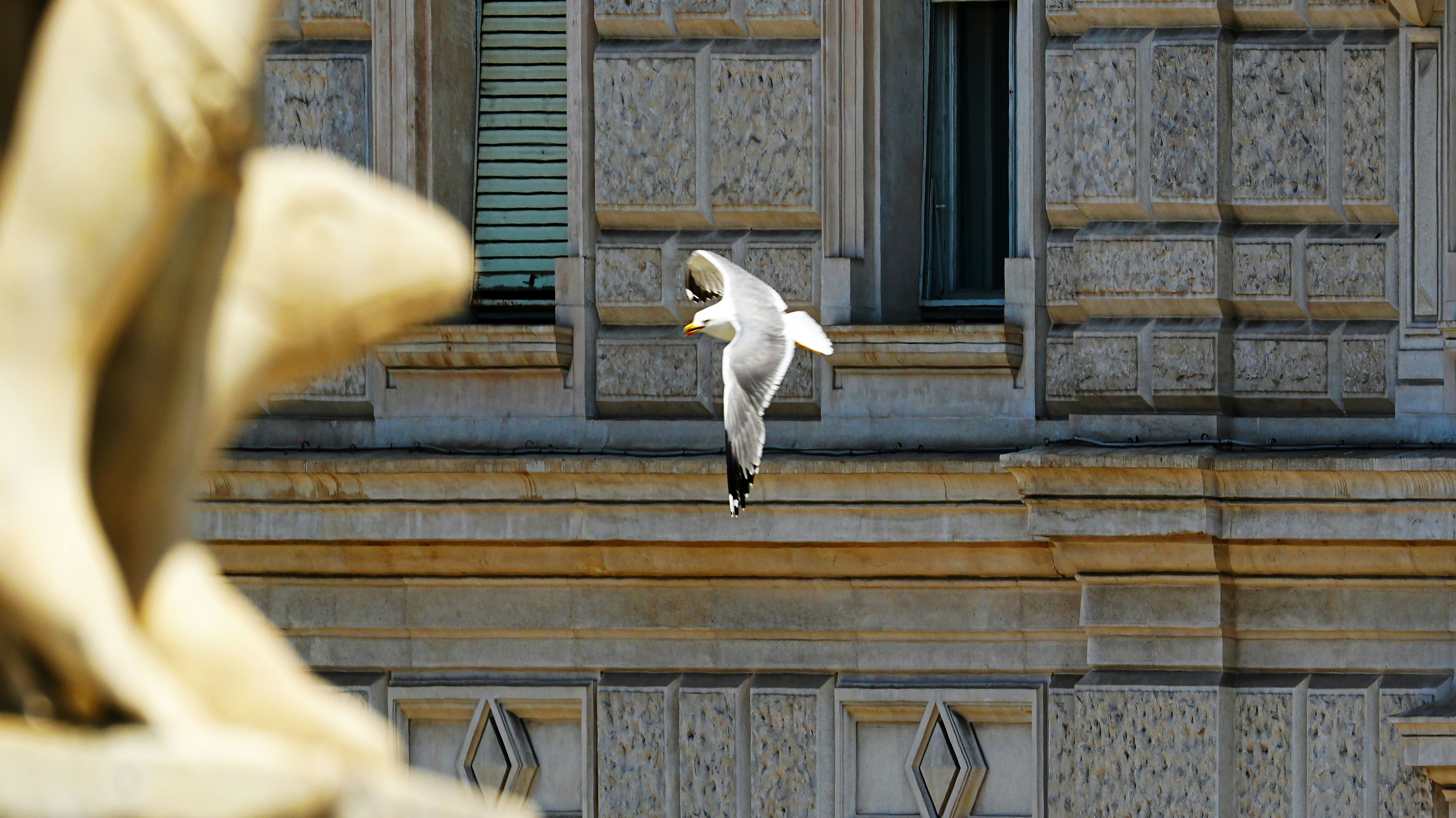 Seekor burung camar terbang di depan bangunan batu.