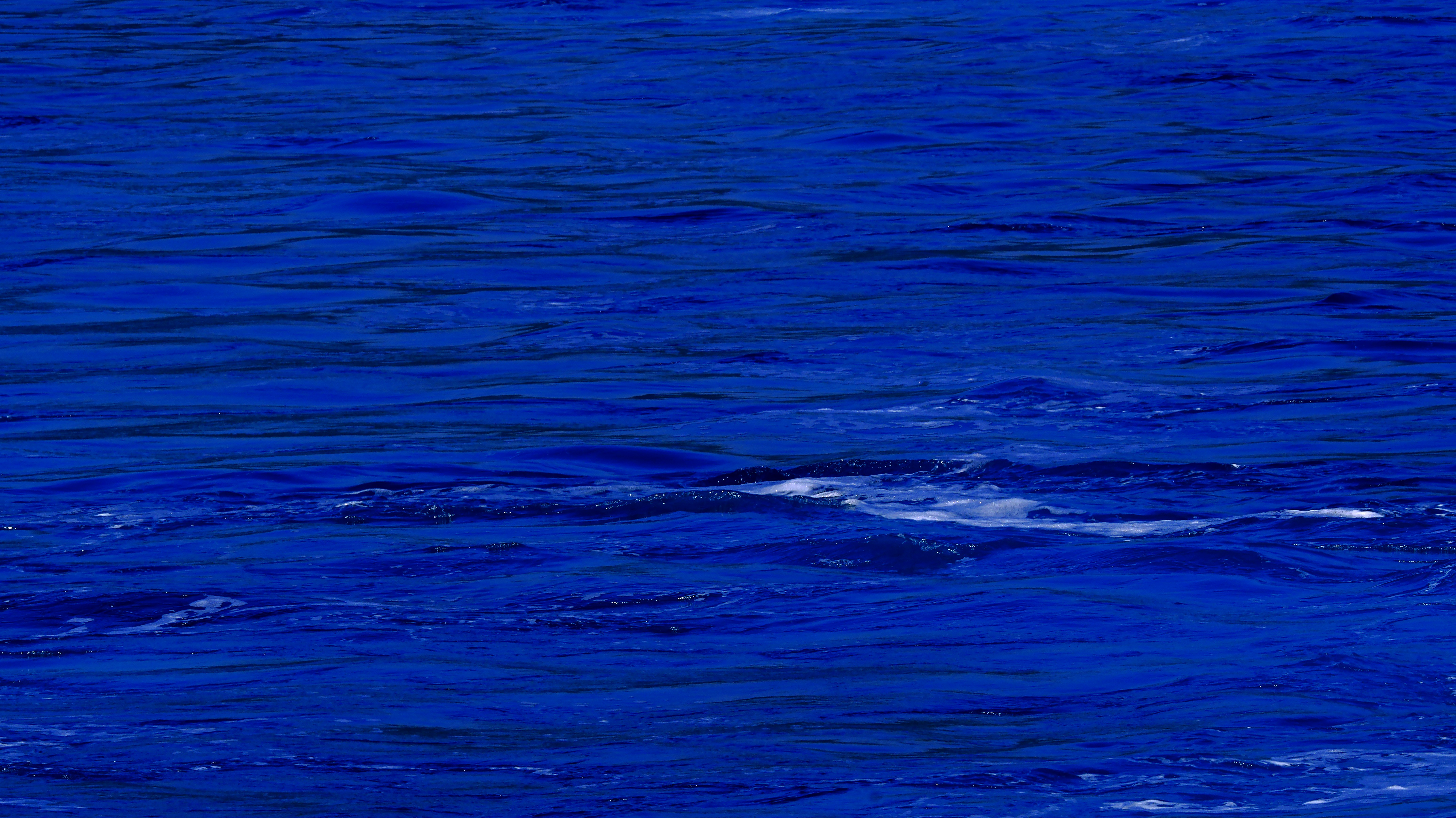 Deep blue water with gentle waves