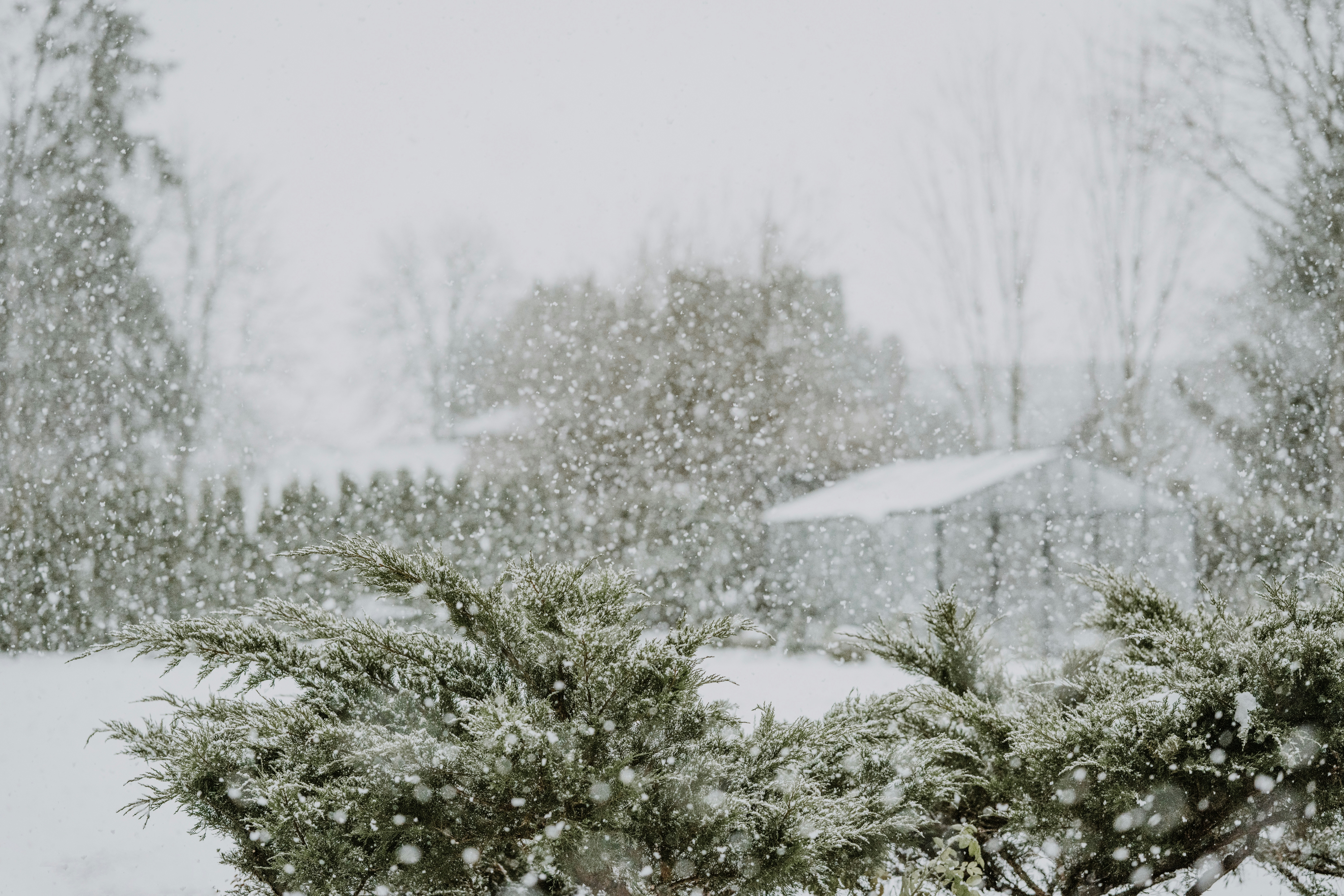 Photo by anitaaustvika