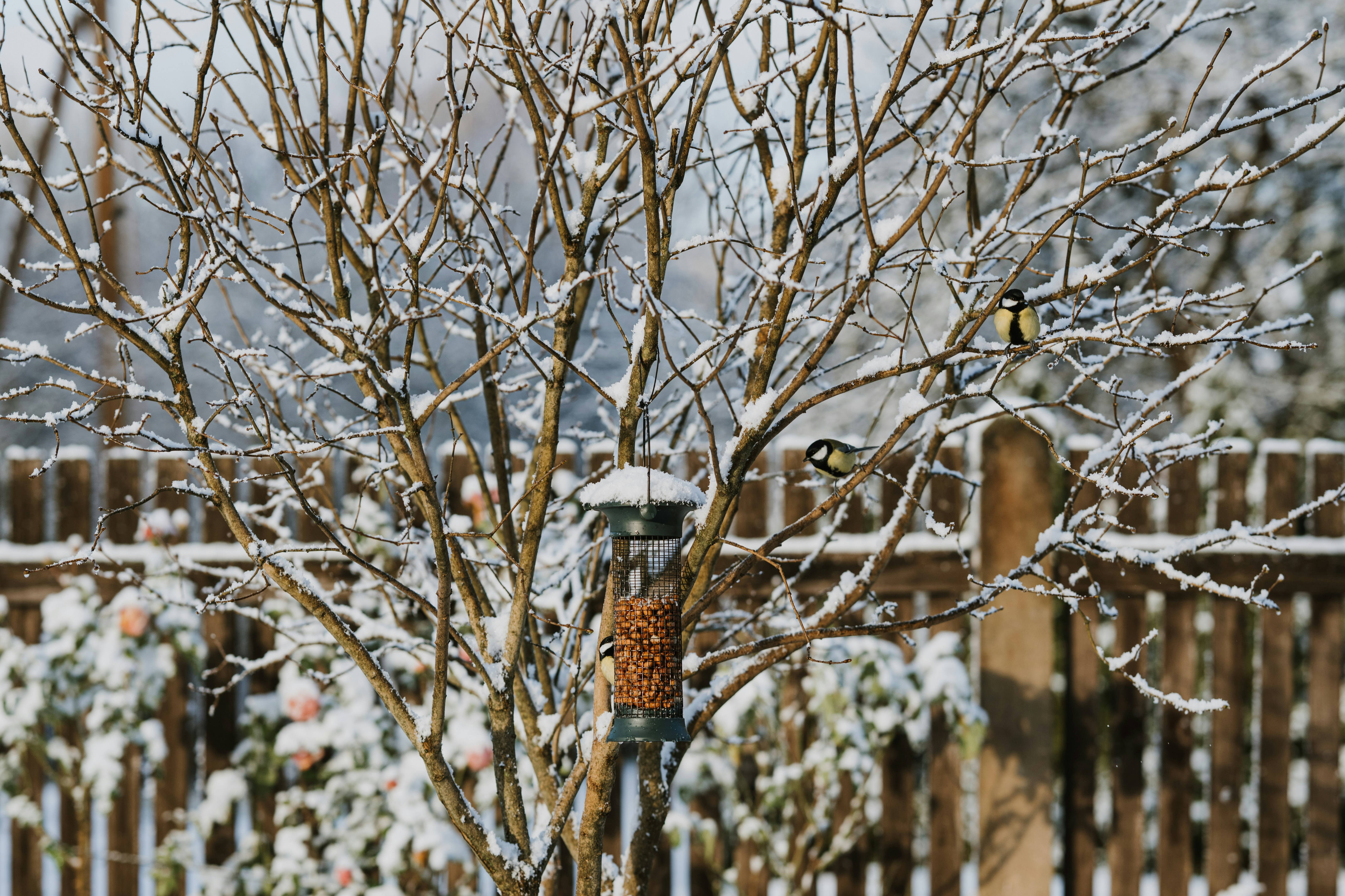 Photo by anitaaustvika