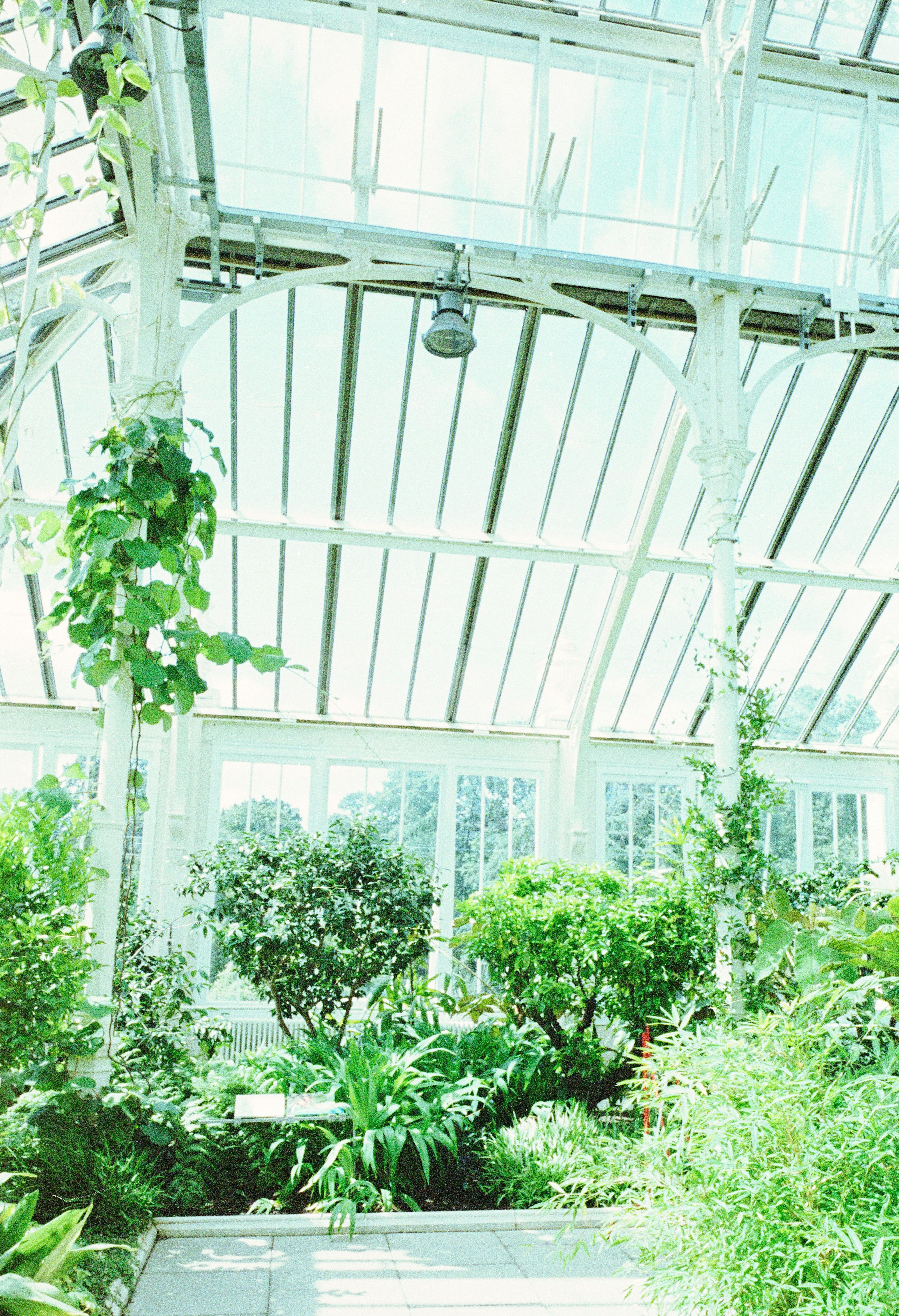 Photo by anniespratt