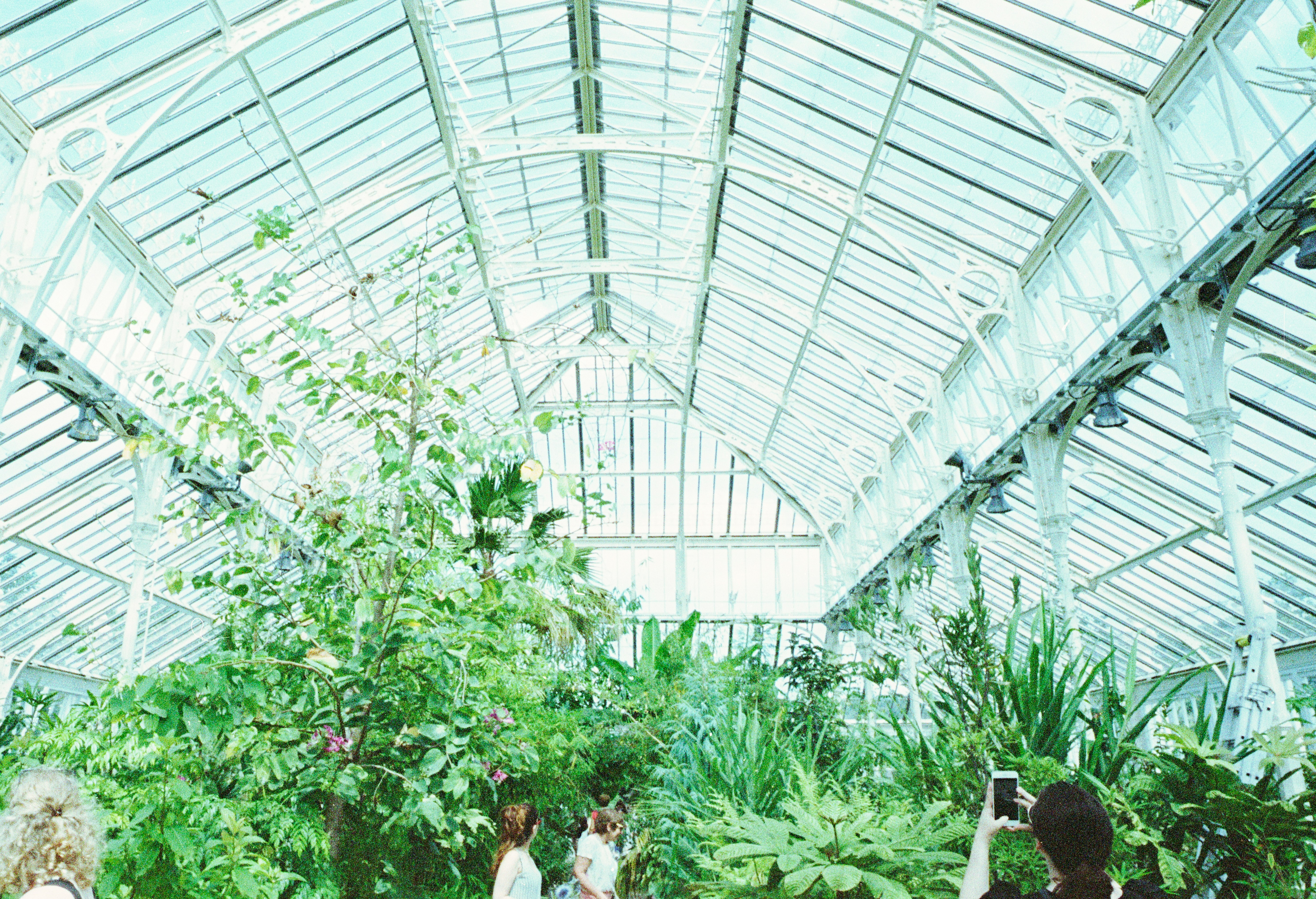 Photo by anniespratt