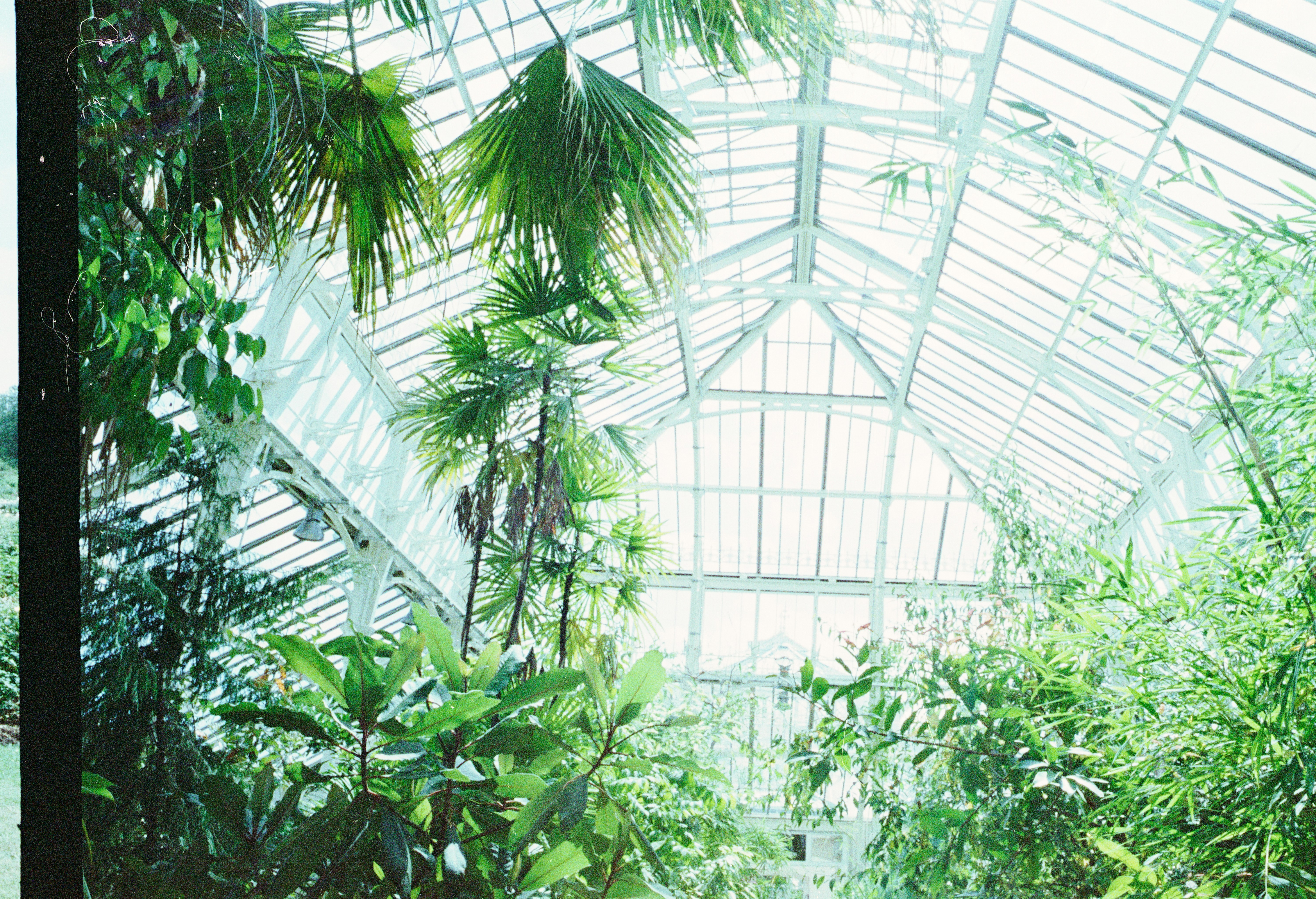 Photo by anniespratt