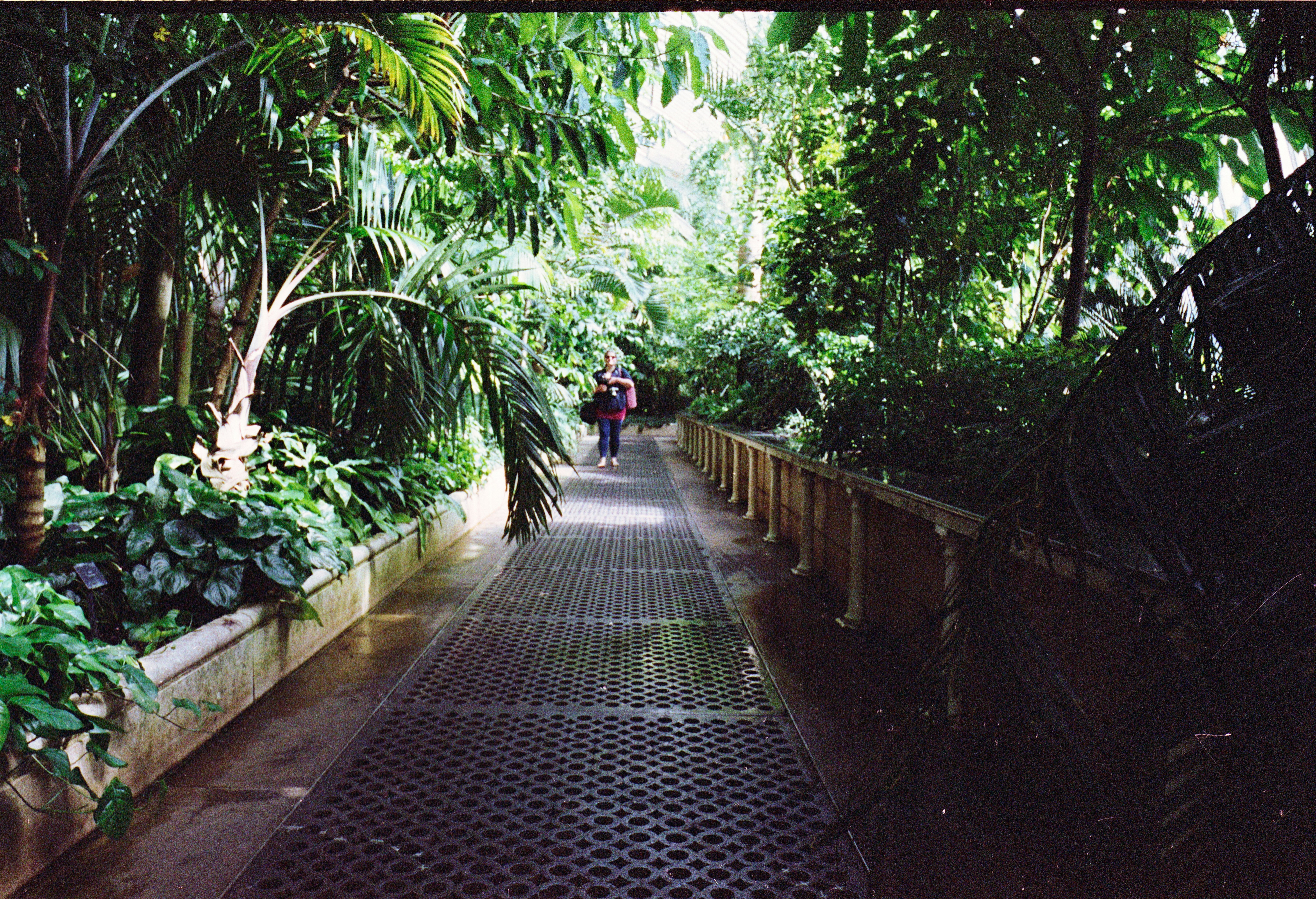 Photo by anniespratt