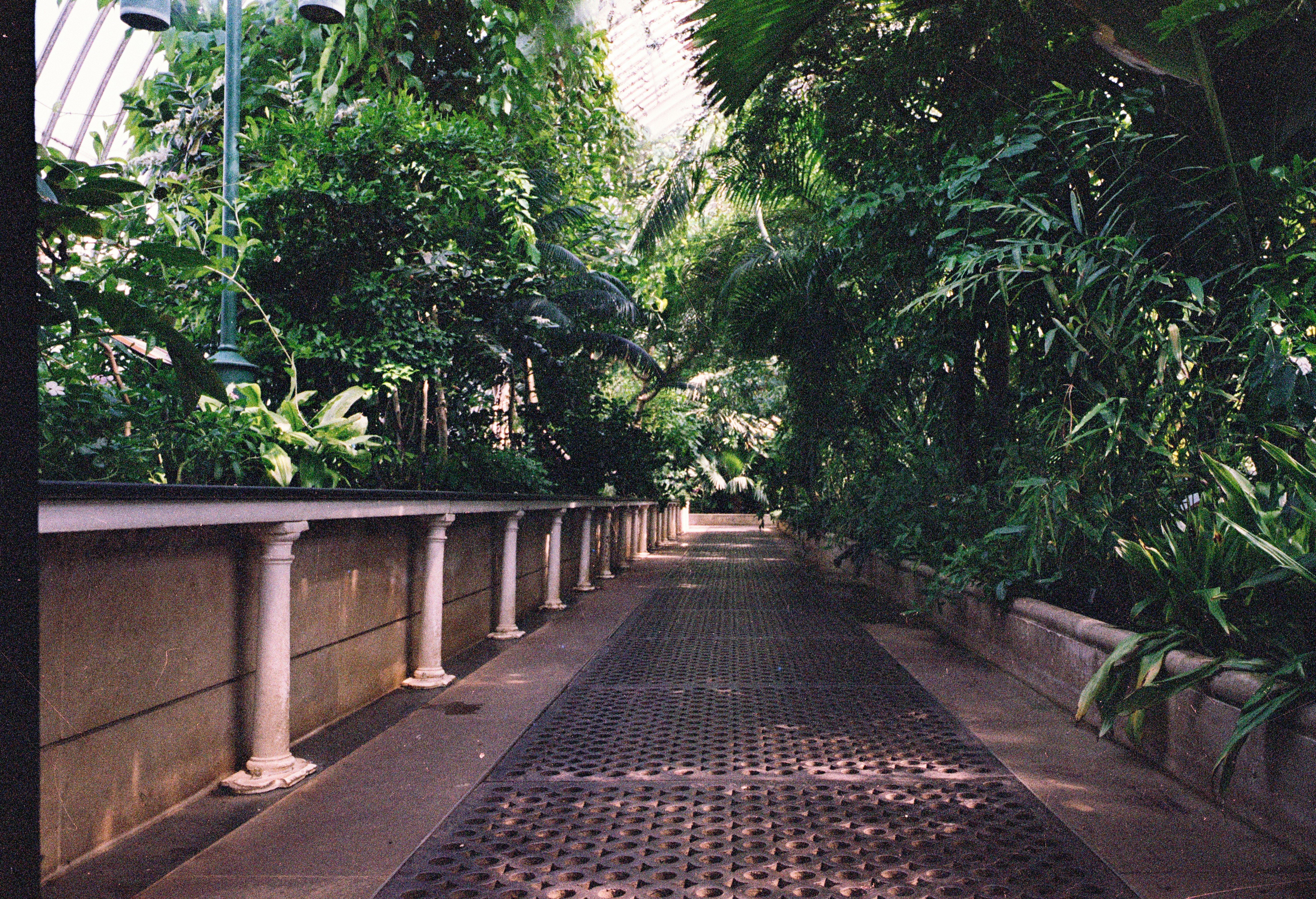 A marble pool deck surrounded by lush greenery