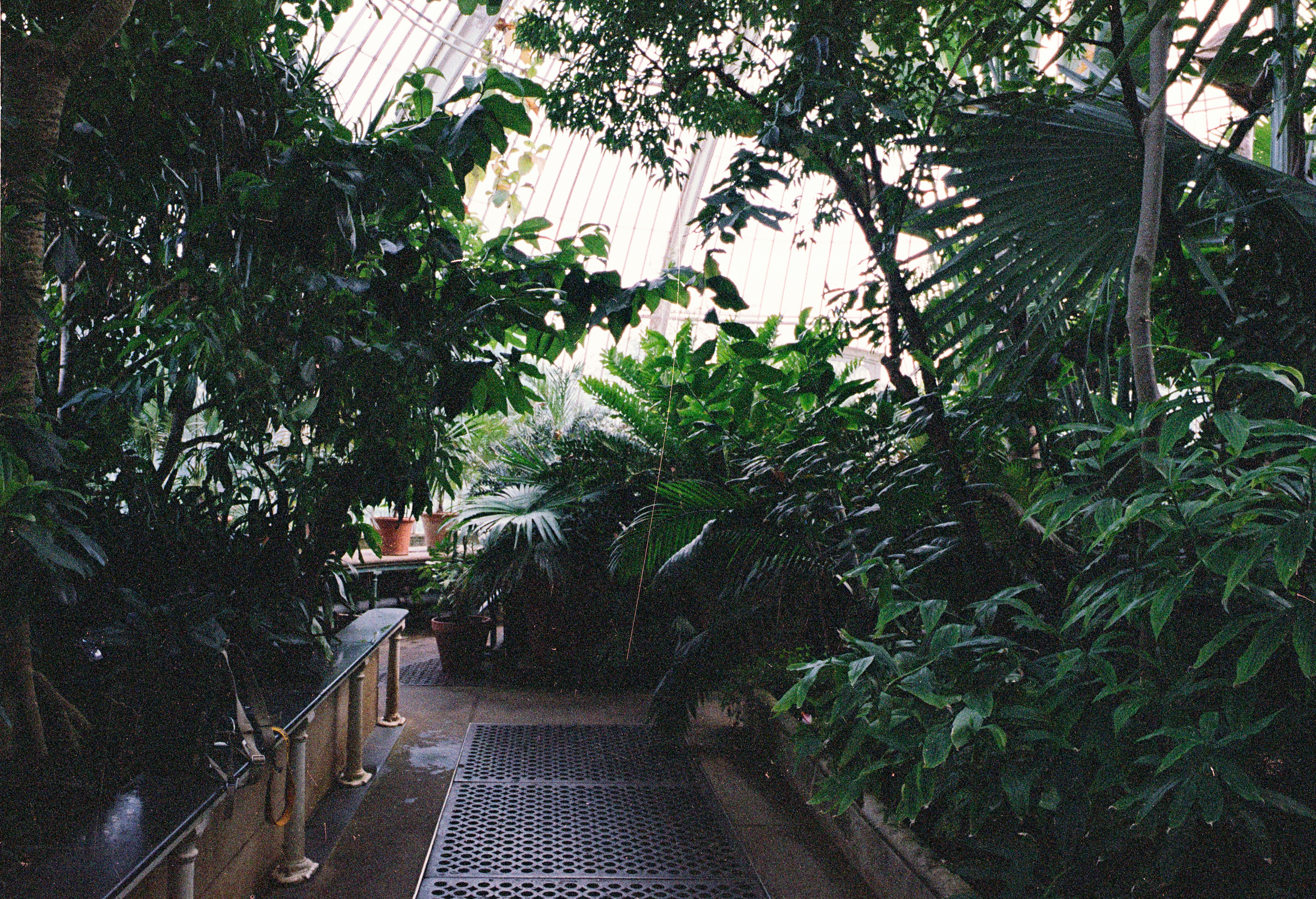Botanical garden path