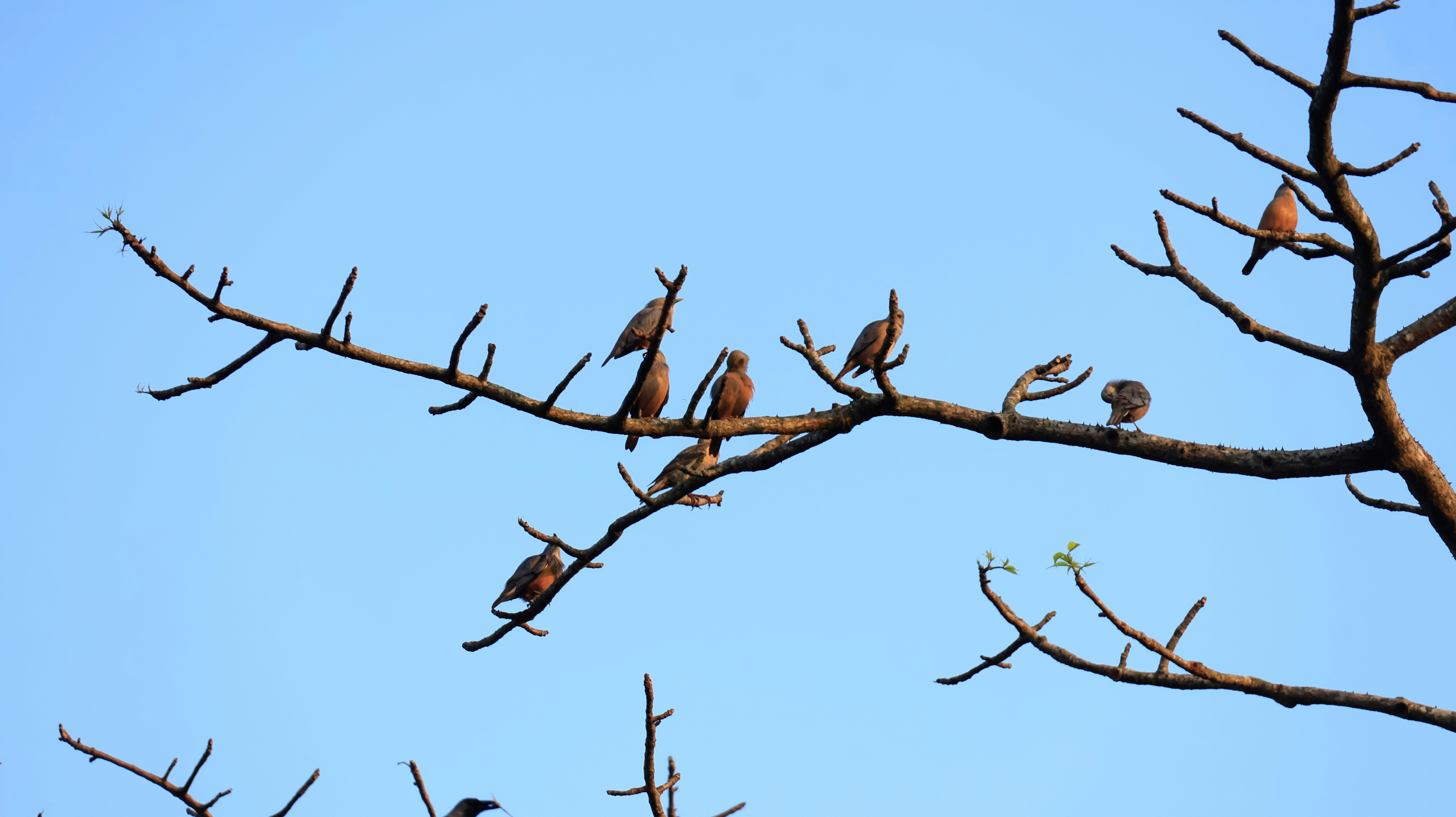 Photo by legacy_lenscraft