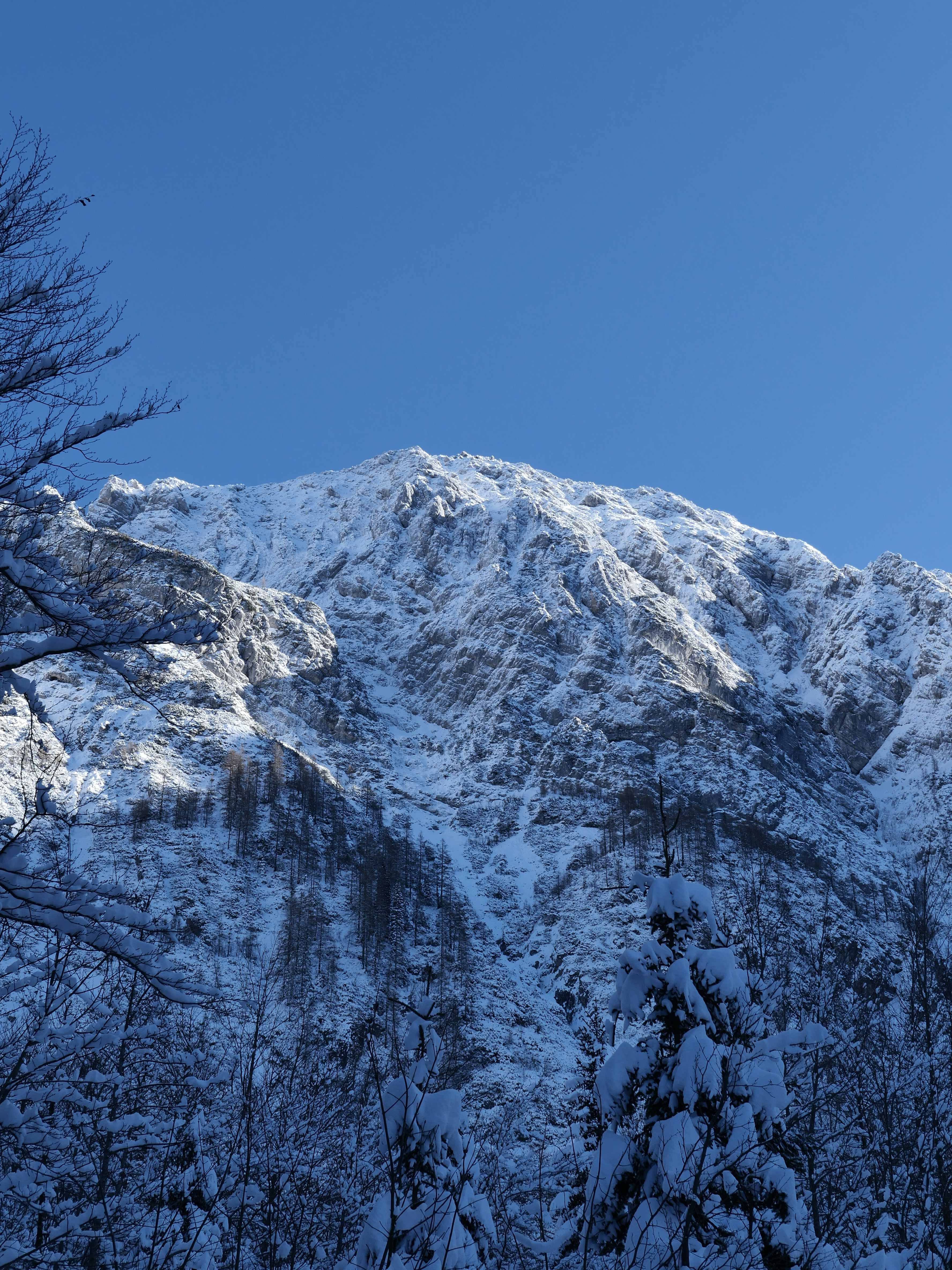 Photo by danielesimon