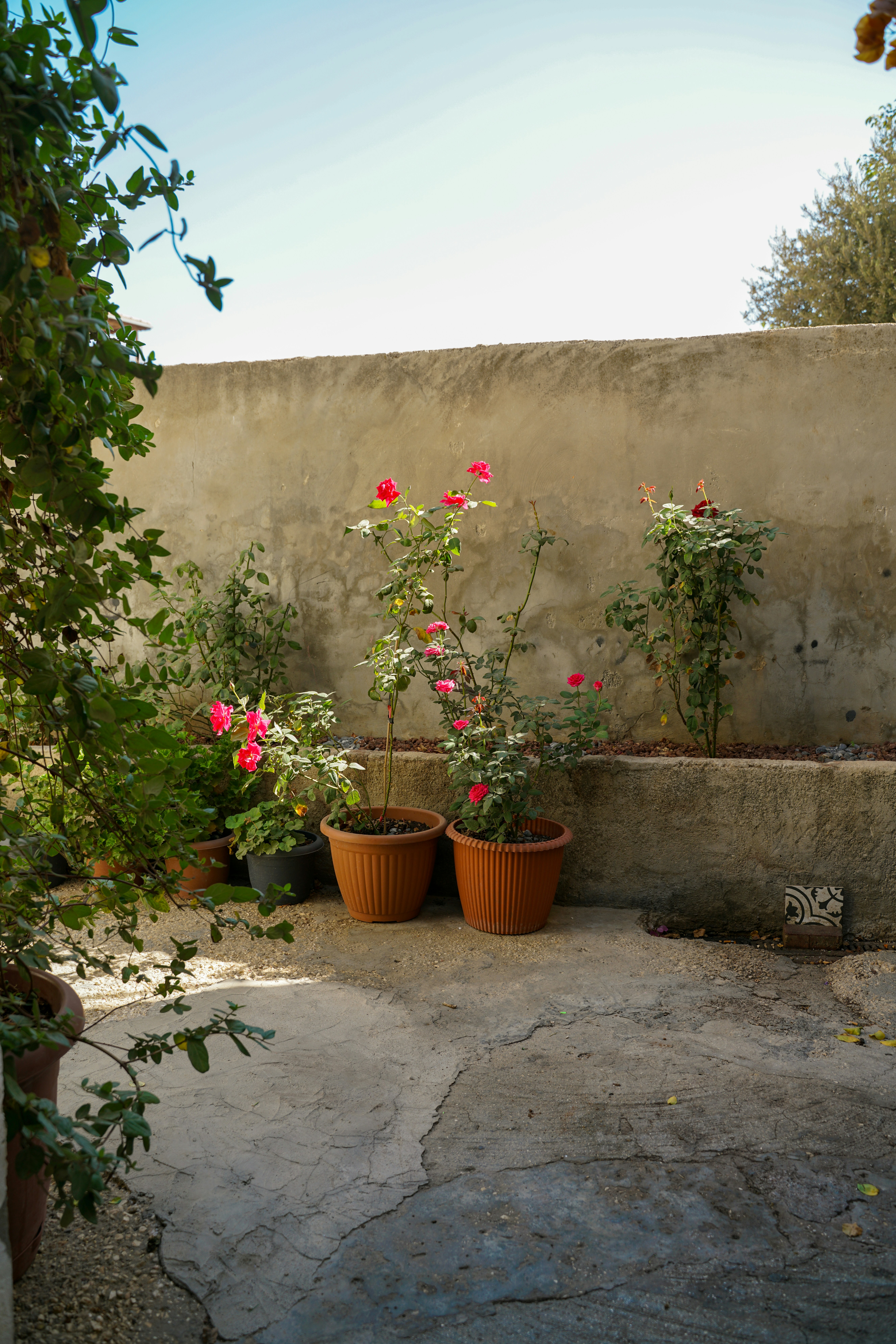 Modern Concrete Planter Set