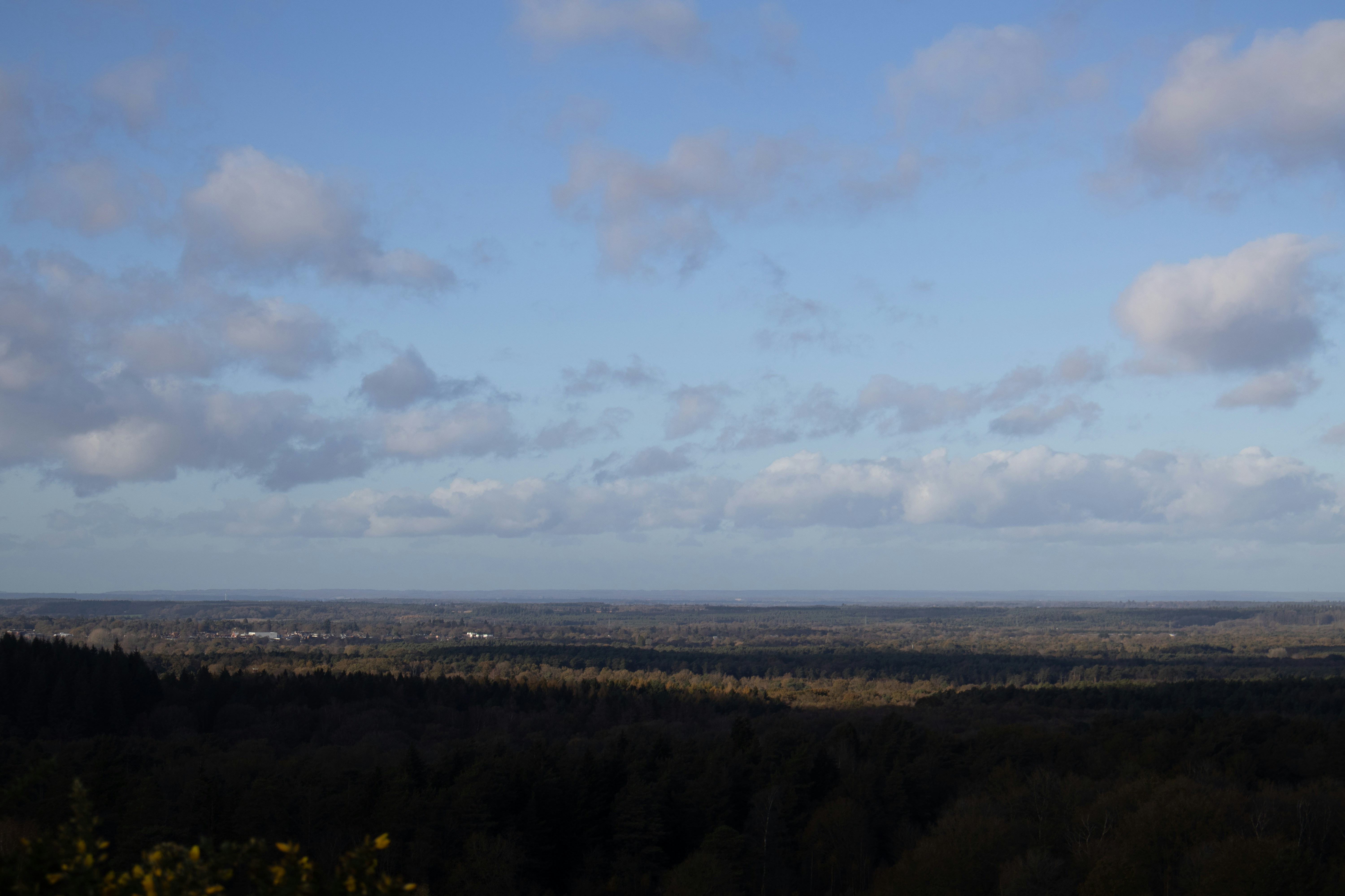 Photo by tanyabarrow