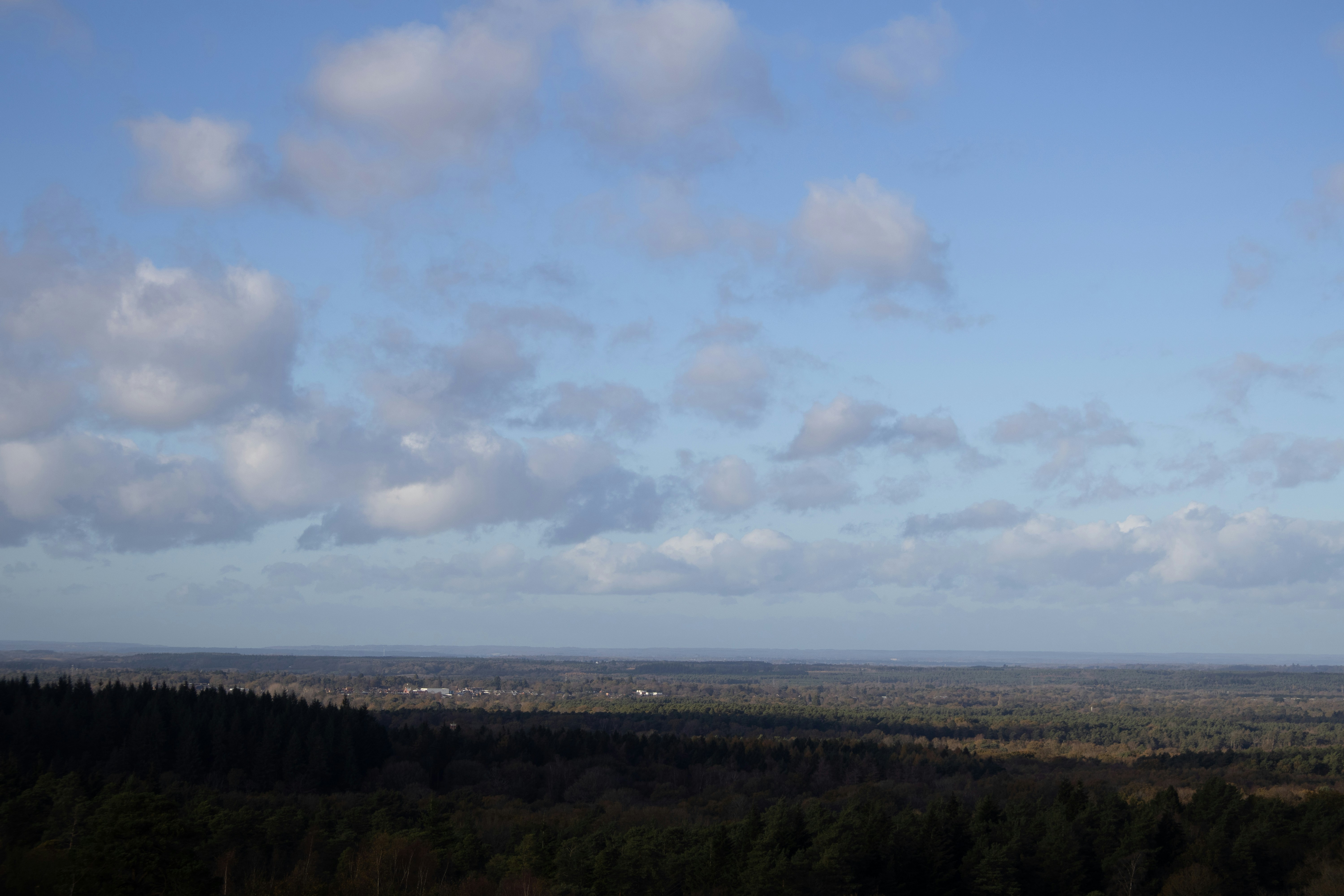 Photo by tanyabarrow