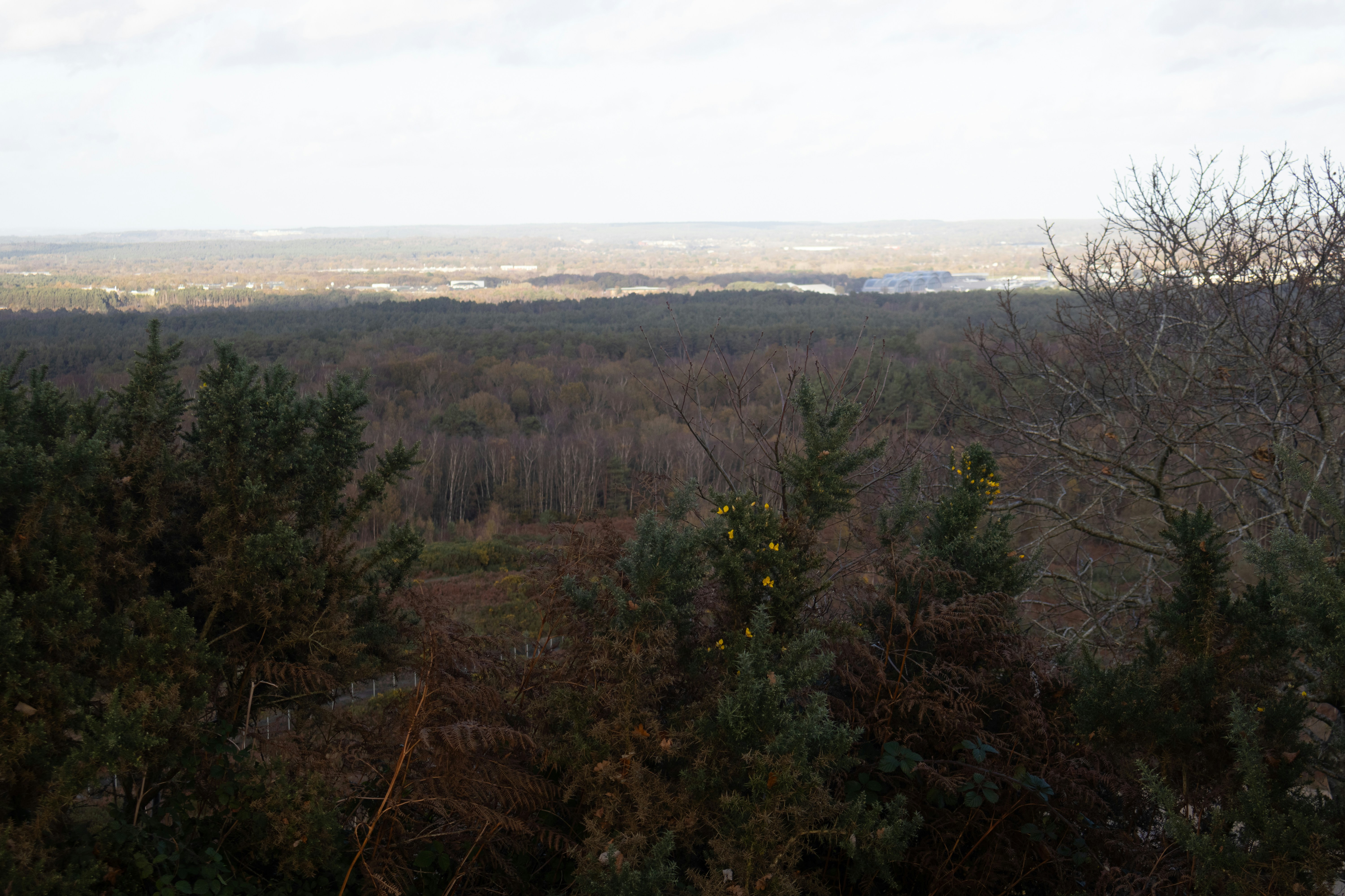 Photo by tanyabarrow