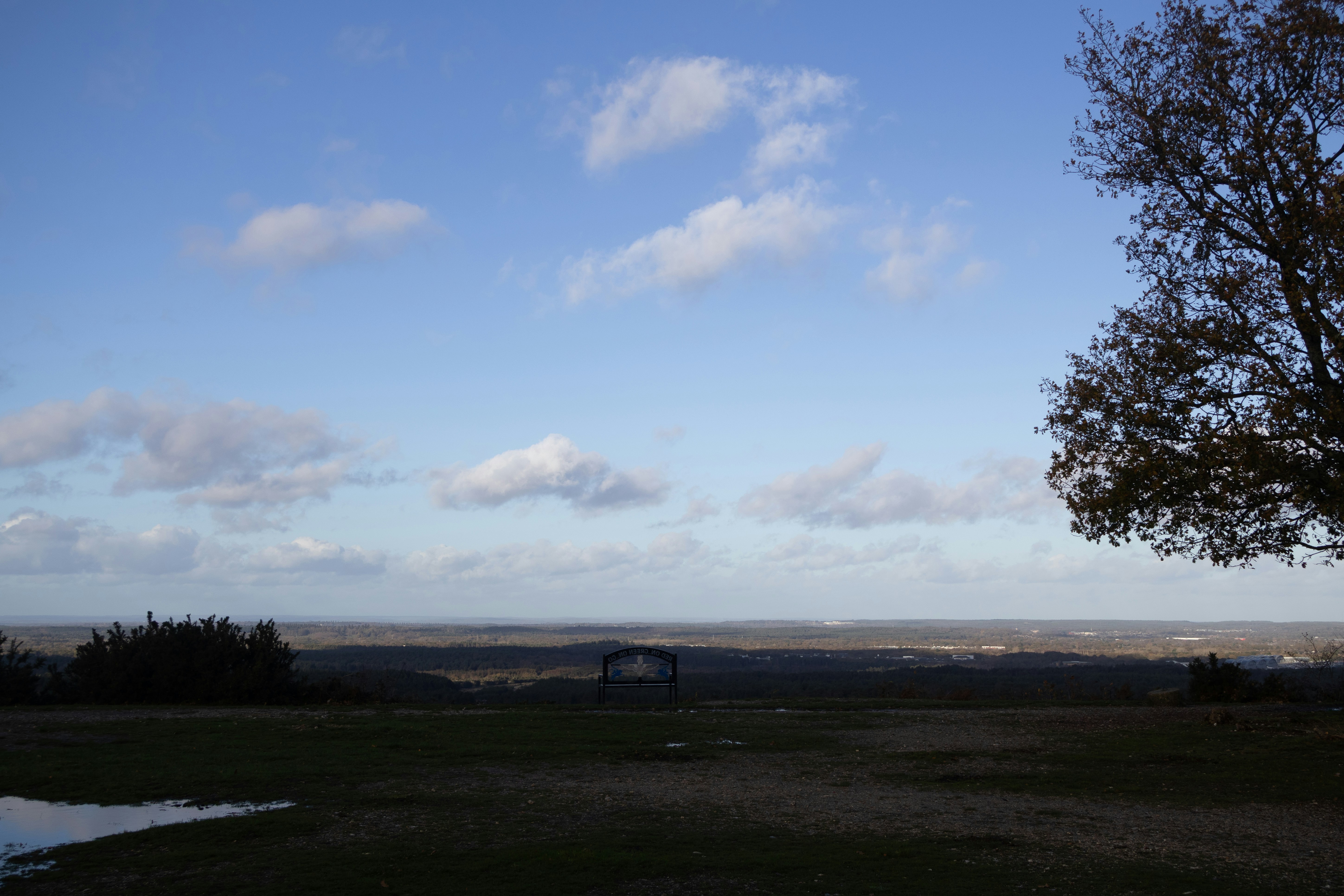 Photo by tanyabarrow