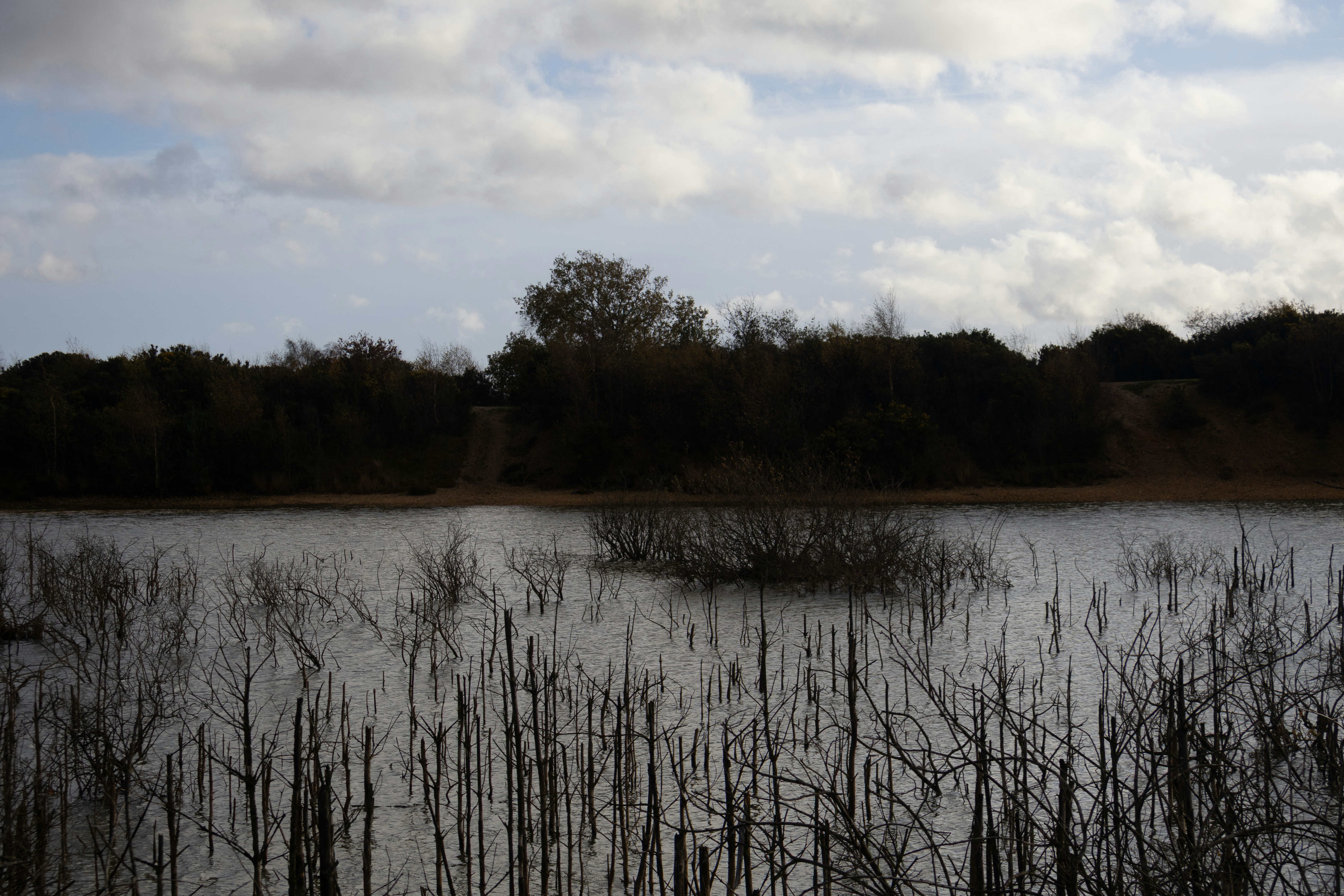 Photo by tanyabarrow