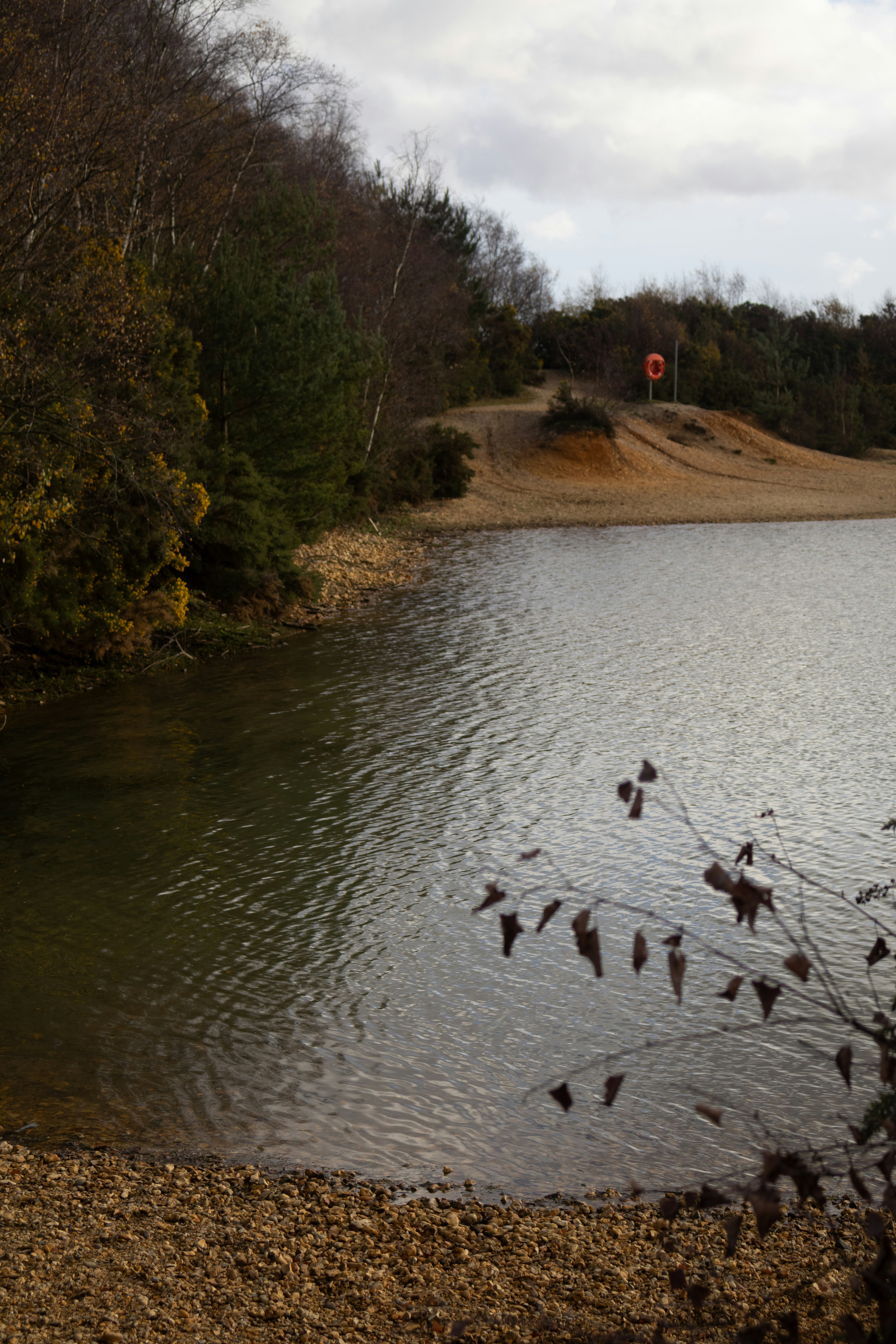 Photo by tanyabarrow