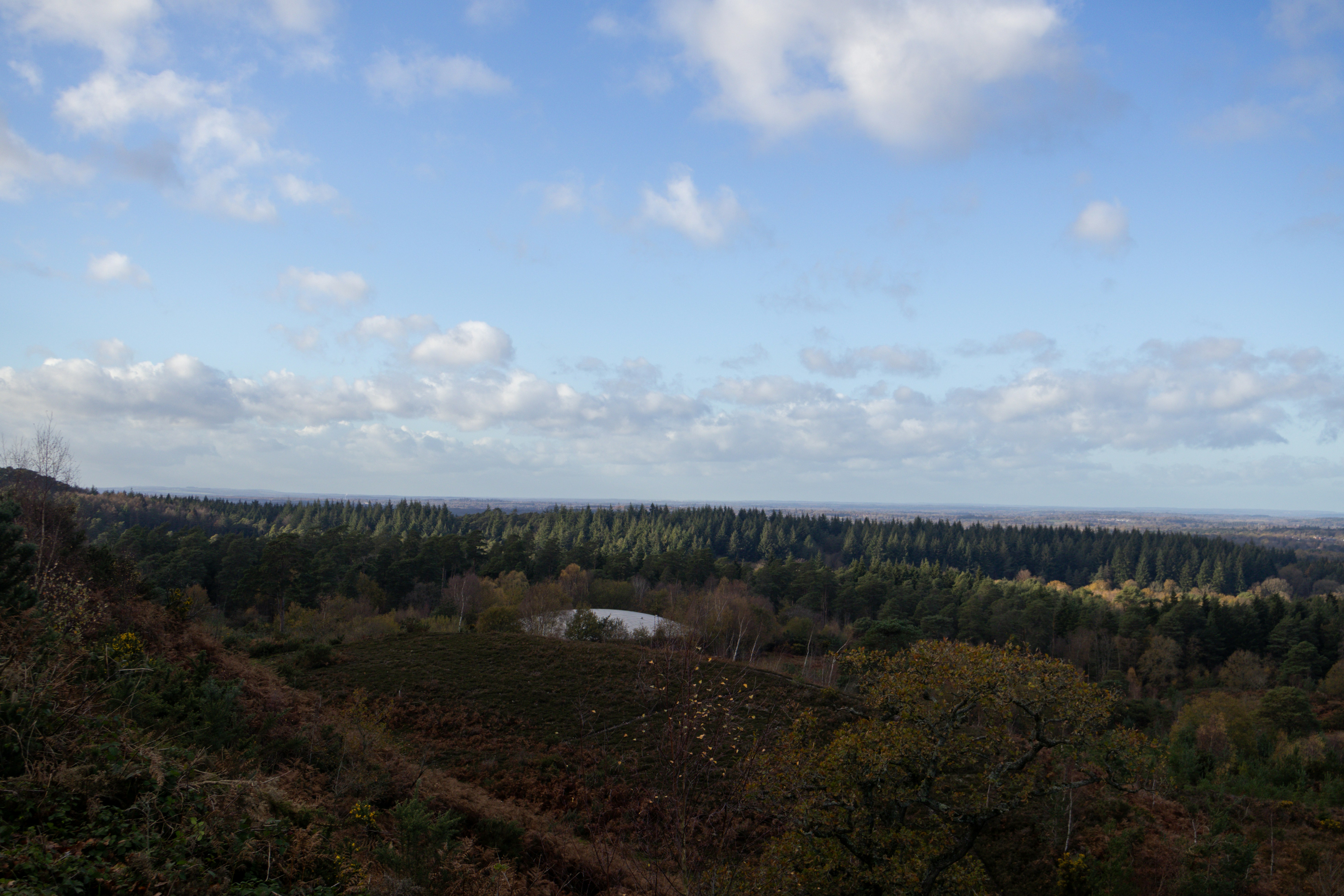 Photo by tanyabarrow