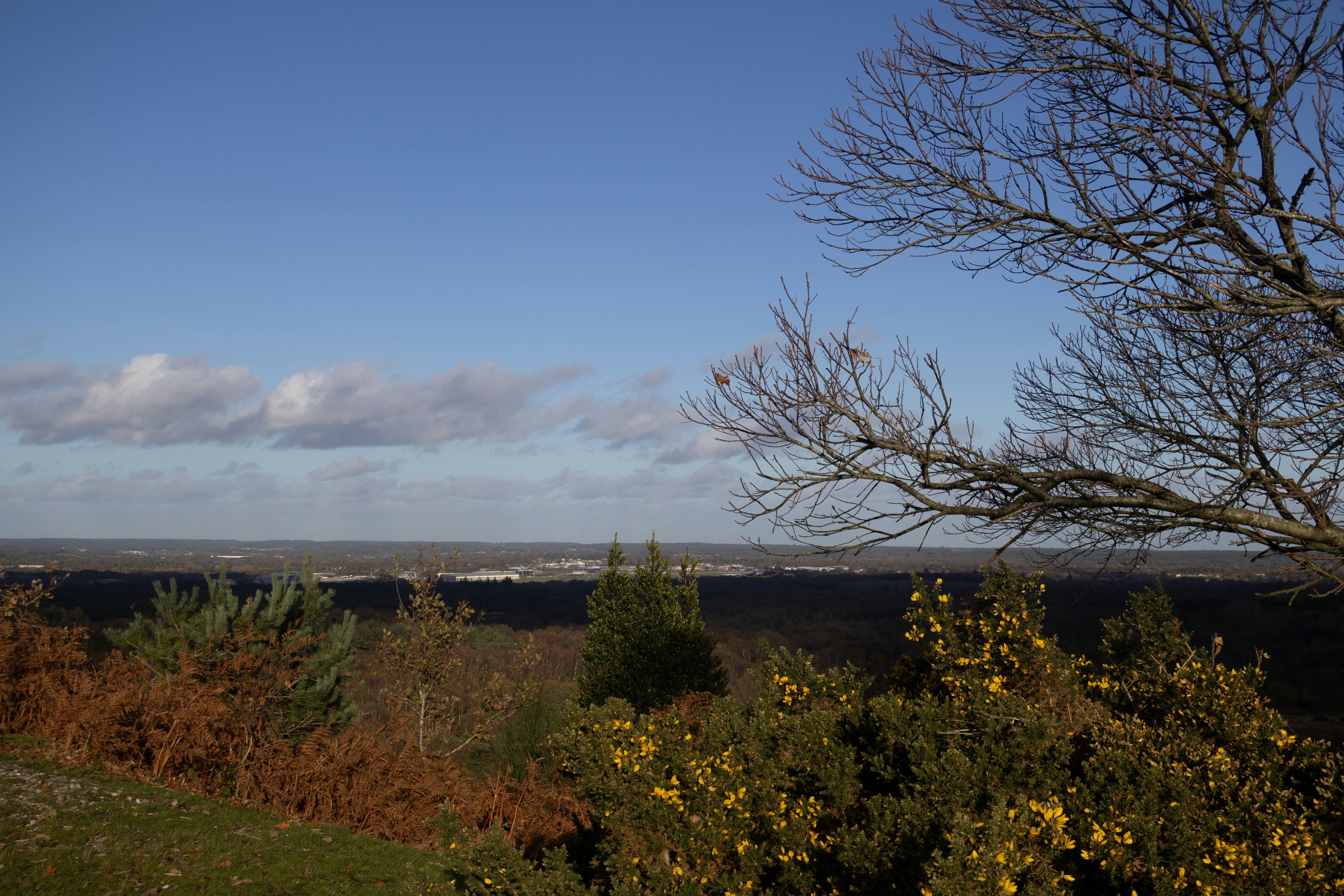 Photo by tanyabarrow