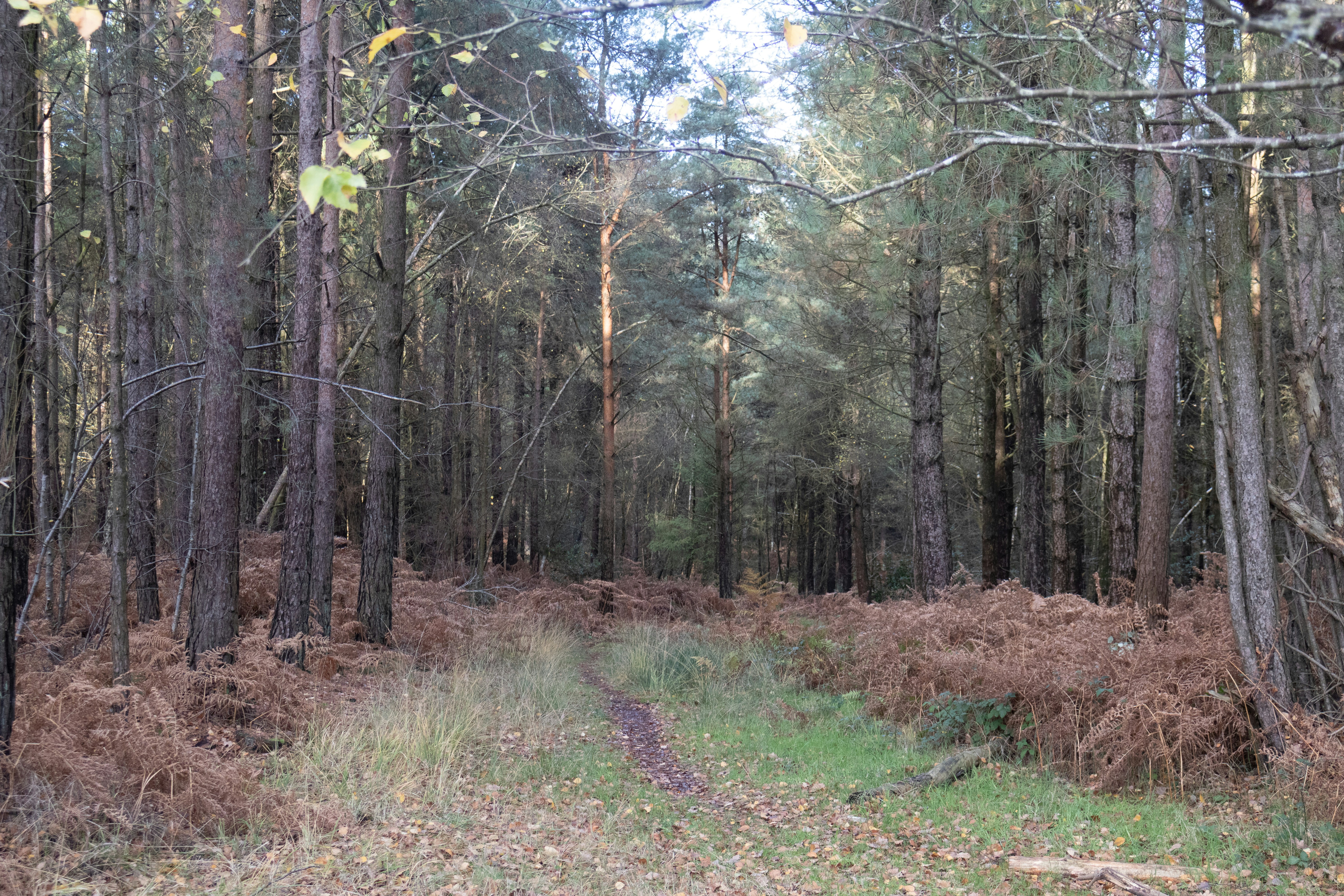 Photo by tanyabarrow