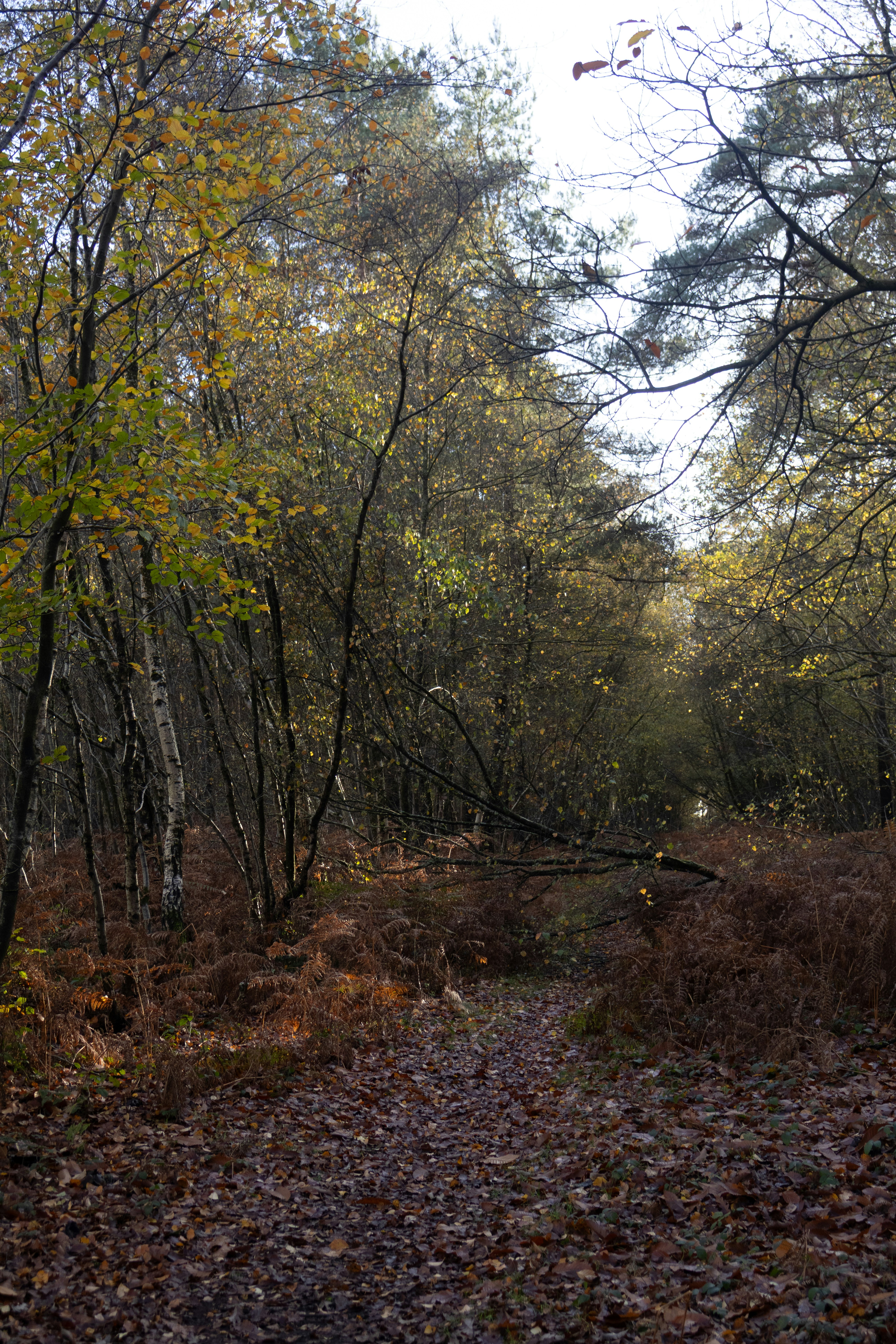 Photo by tanyabarrow