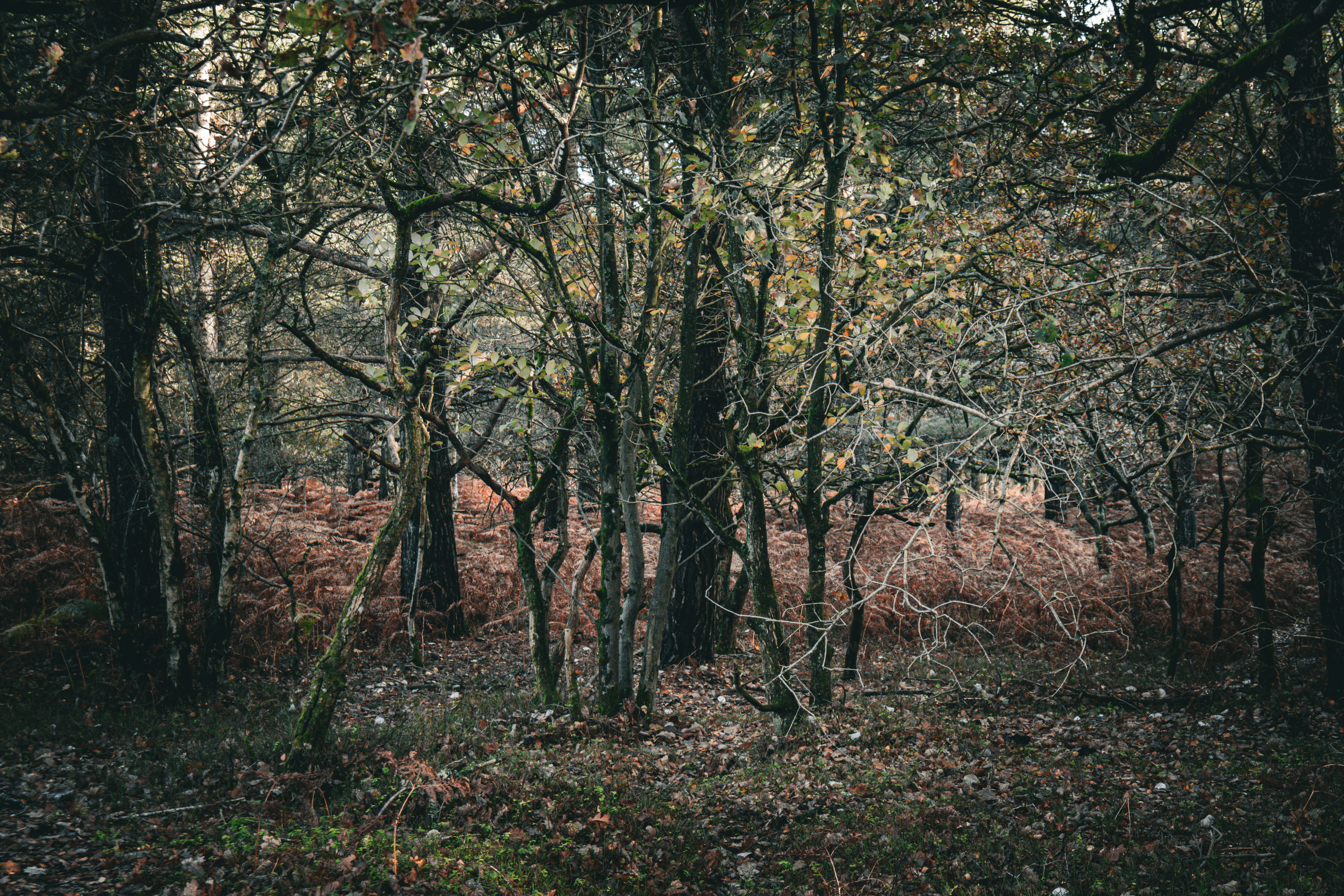 Photo by tanyabarrow