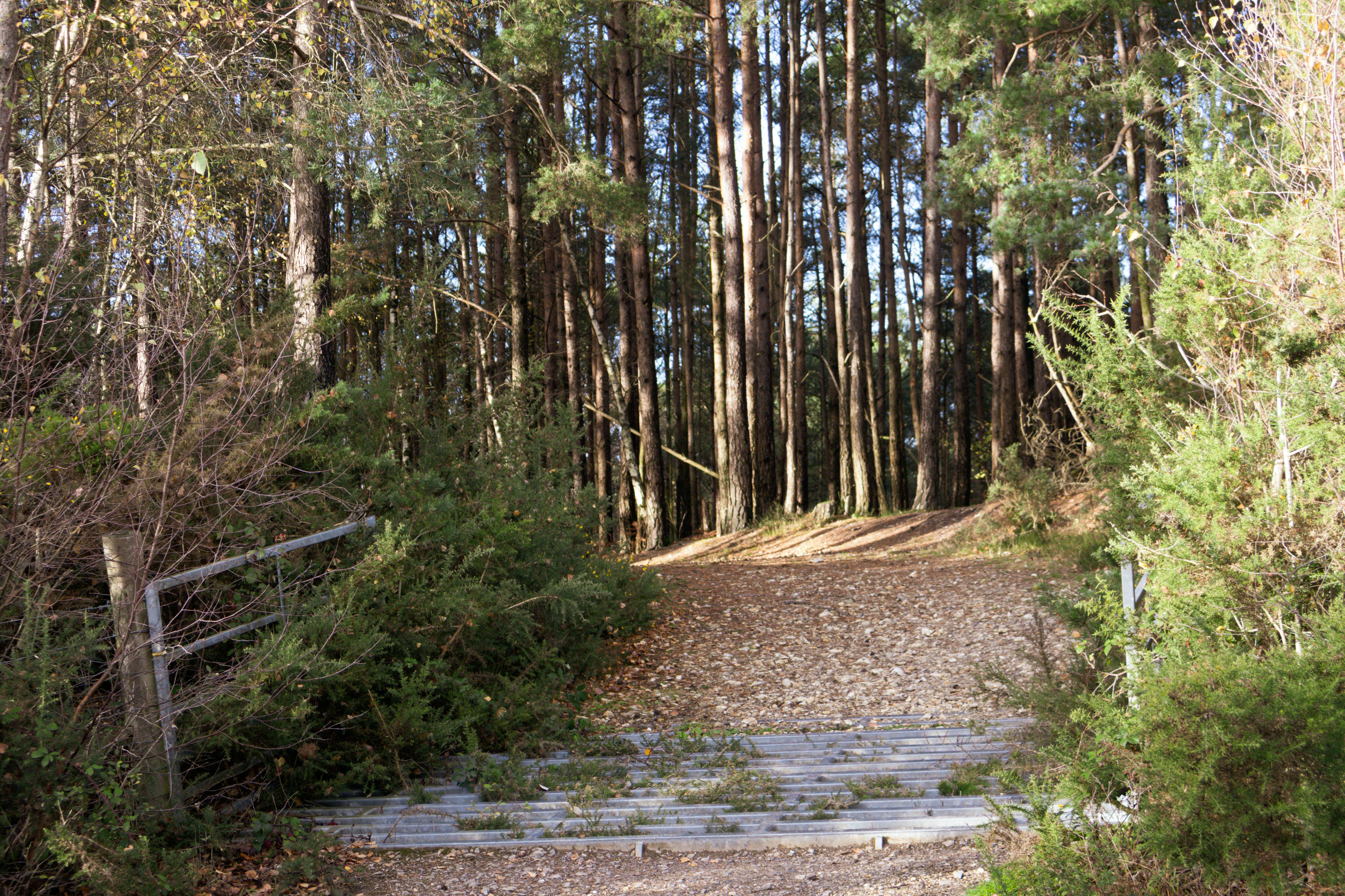 Photo by tanyabarrow