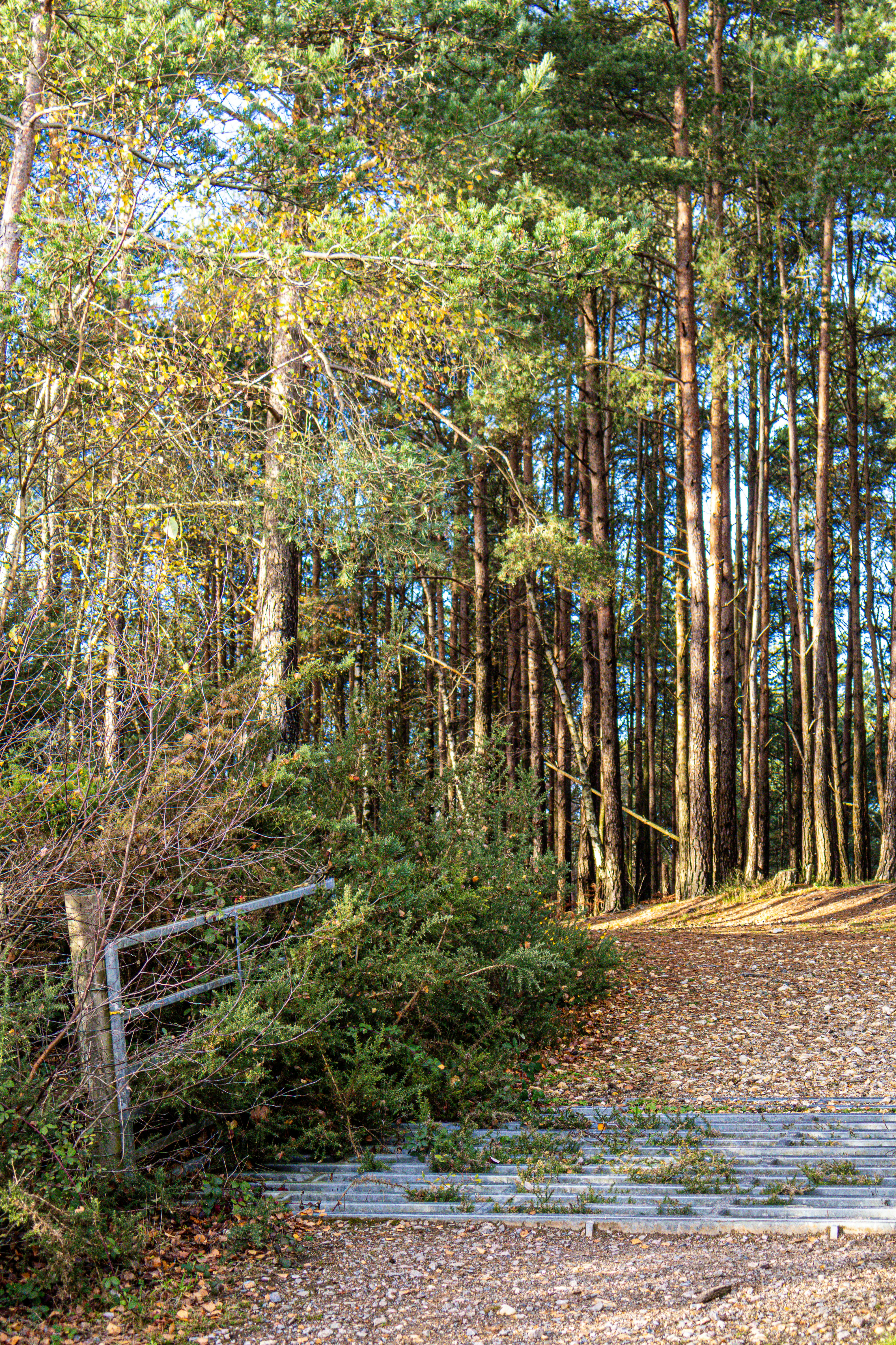 Photo by tanyabarrow