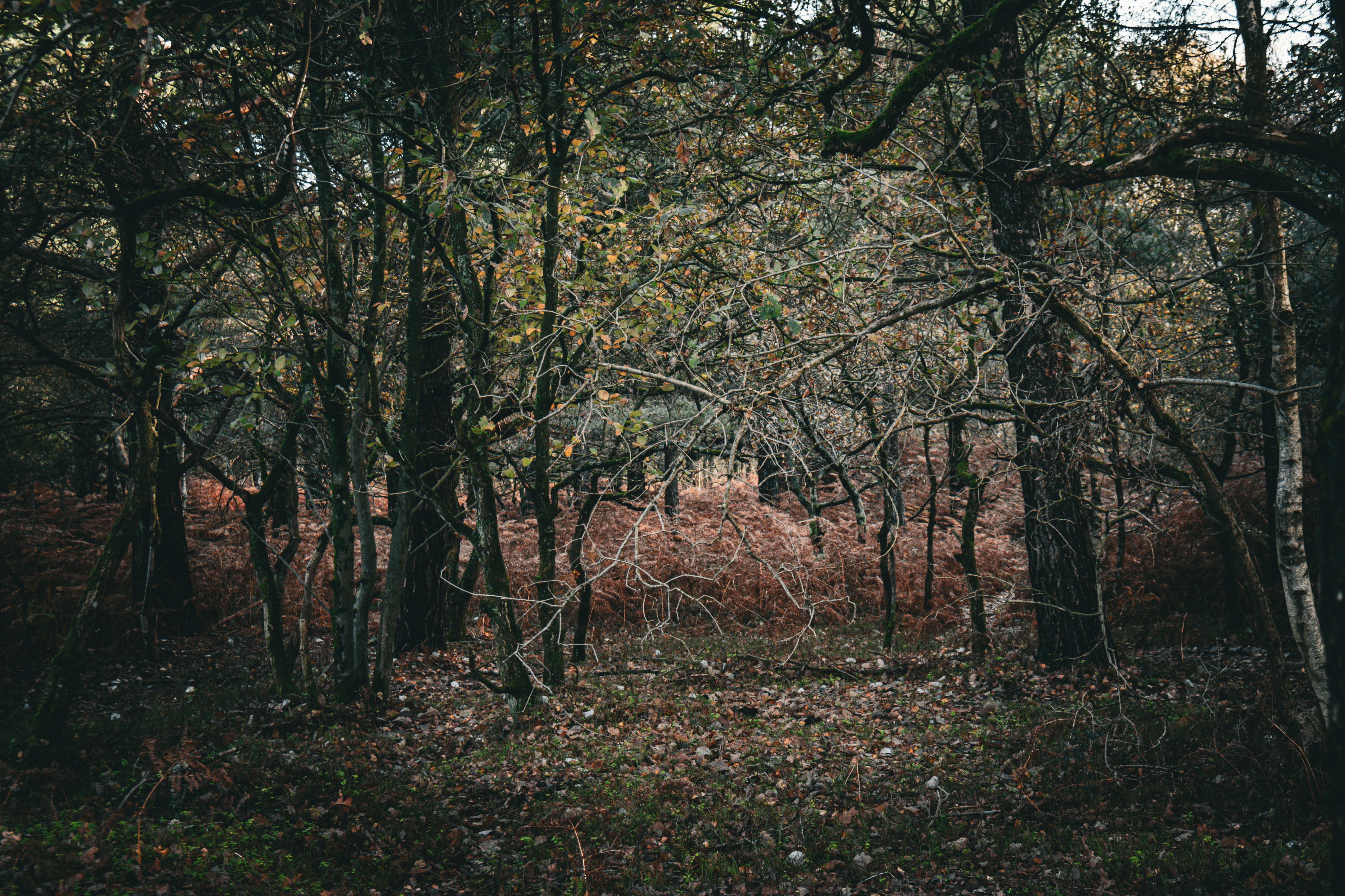 Photo by tanyabarrow