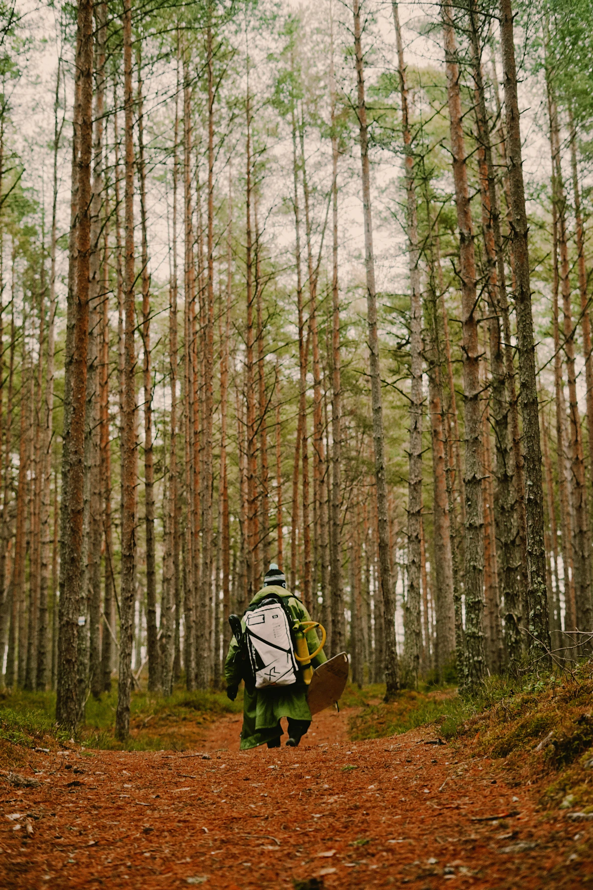 Person auf einem Waldweg als Symbol für Fortschritt nach 4 Wochen rauchfrei