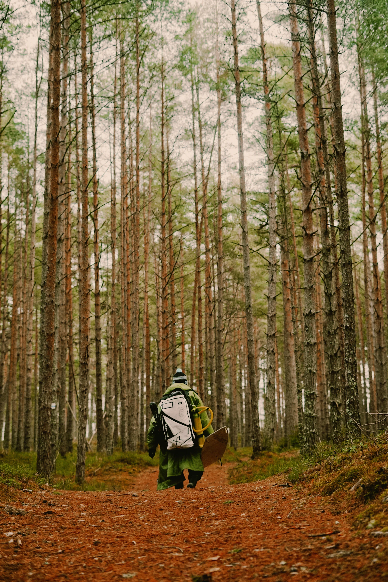 Person geht mit Rucksack auf einem Waldweg als Symbol für einen neuen Rauchstopp nach mehreren Versuchen