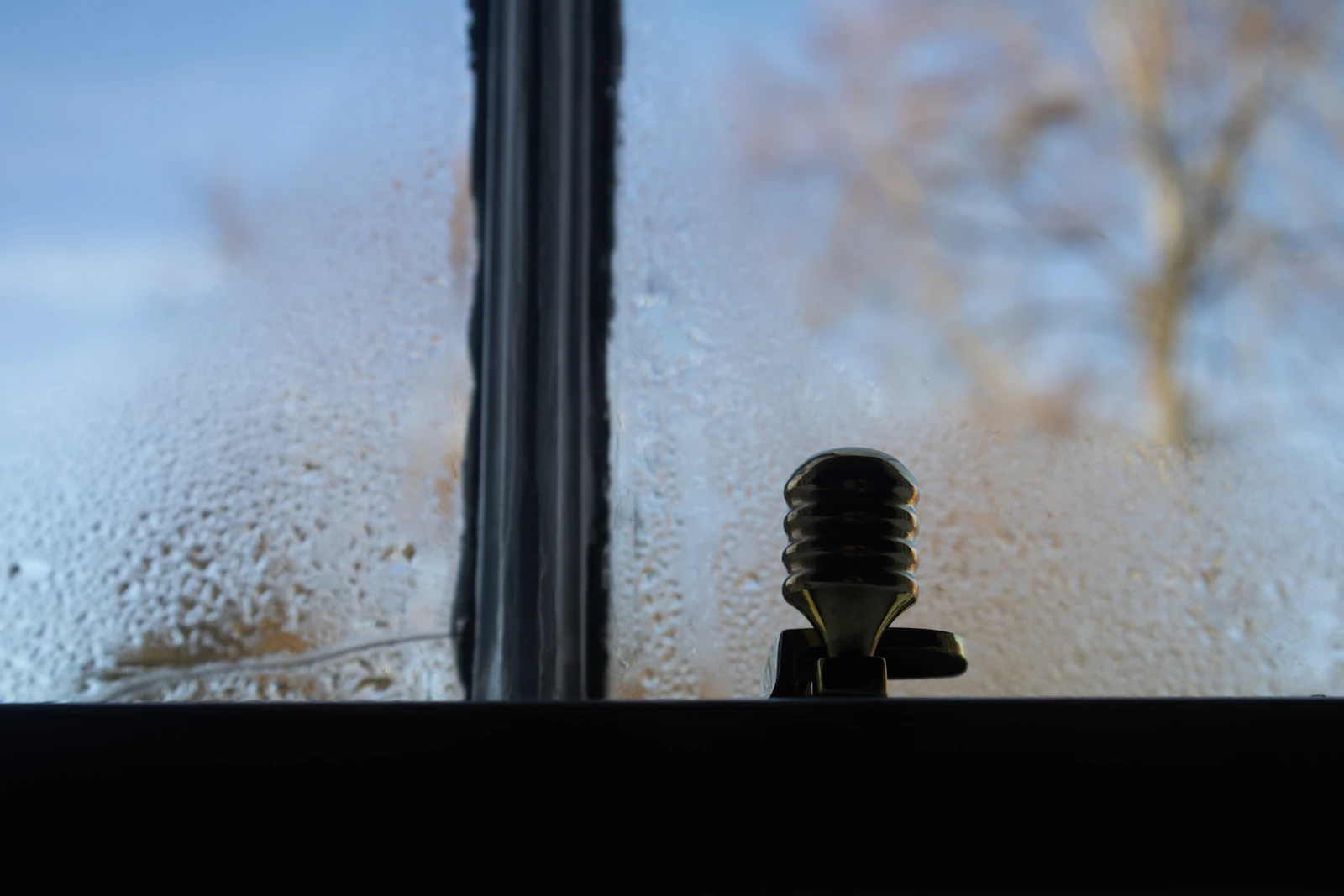 Condensation running down the inside of a windowpane with a tree visible outside