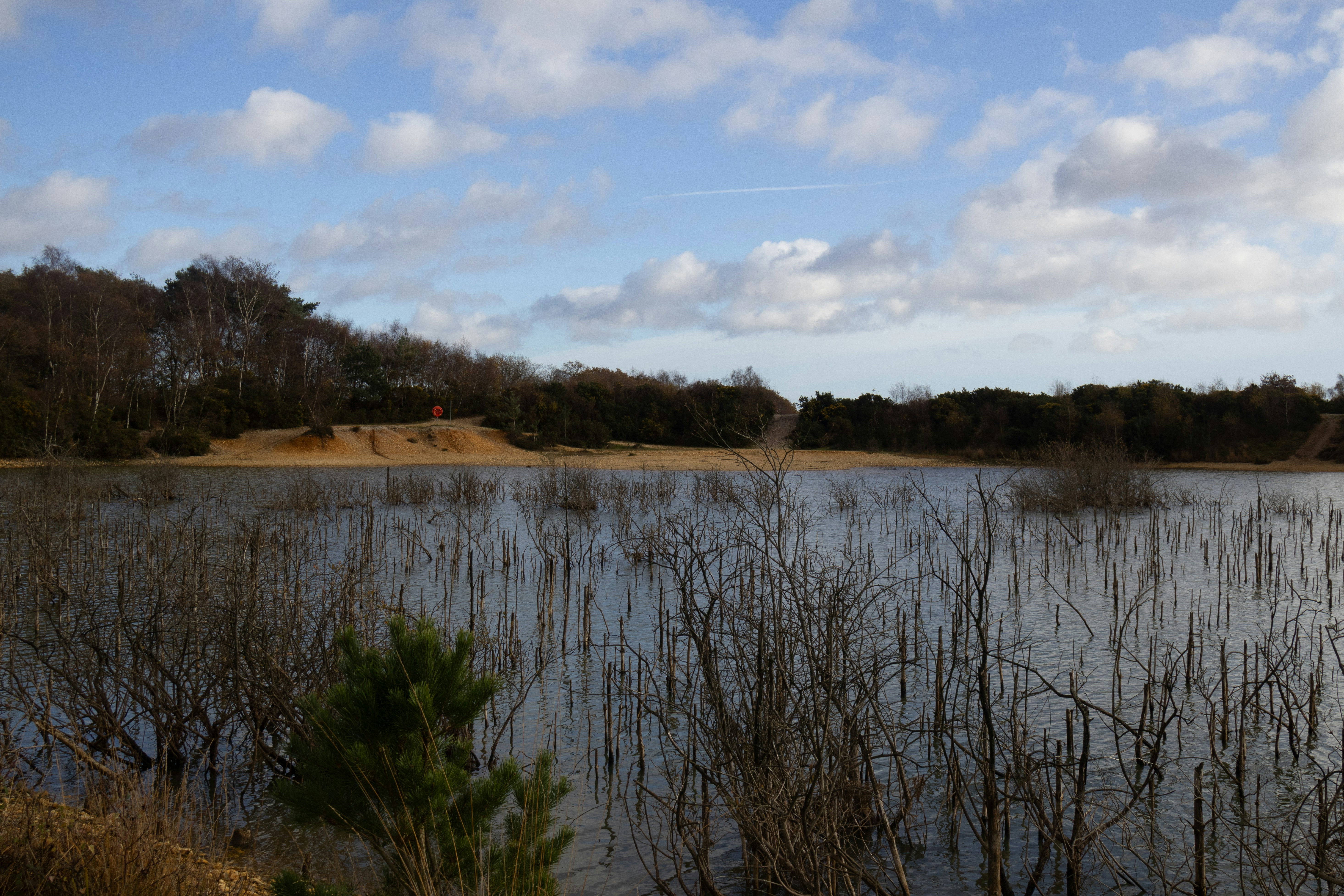 Photo by tanyabarrow