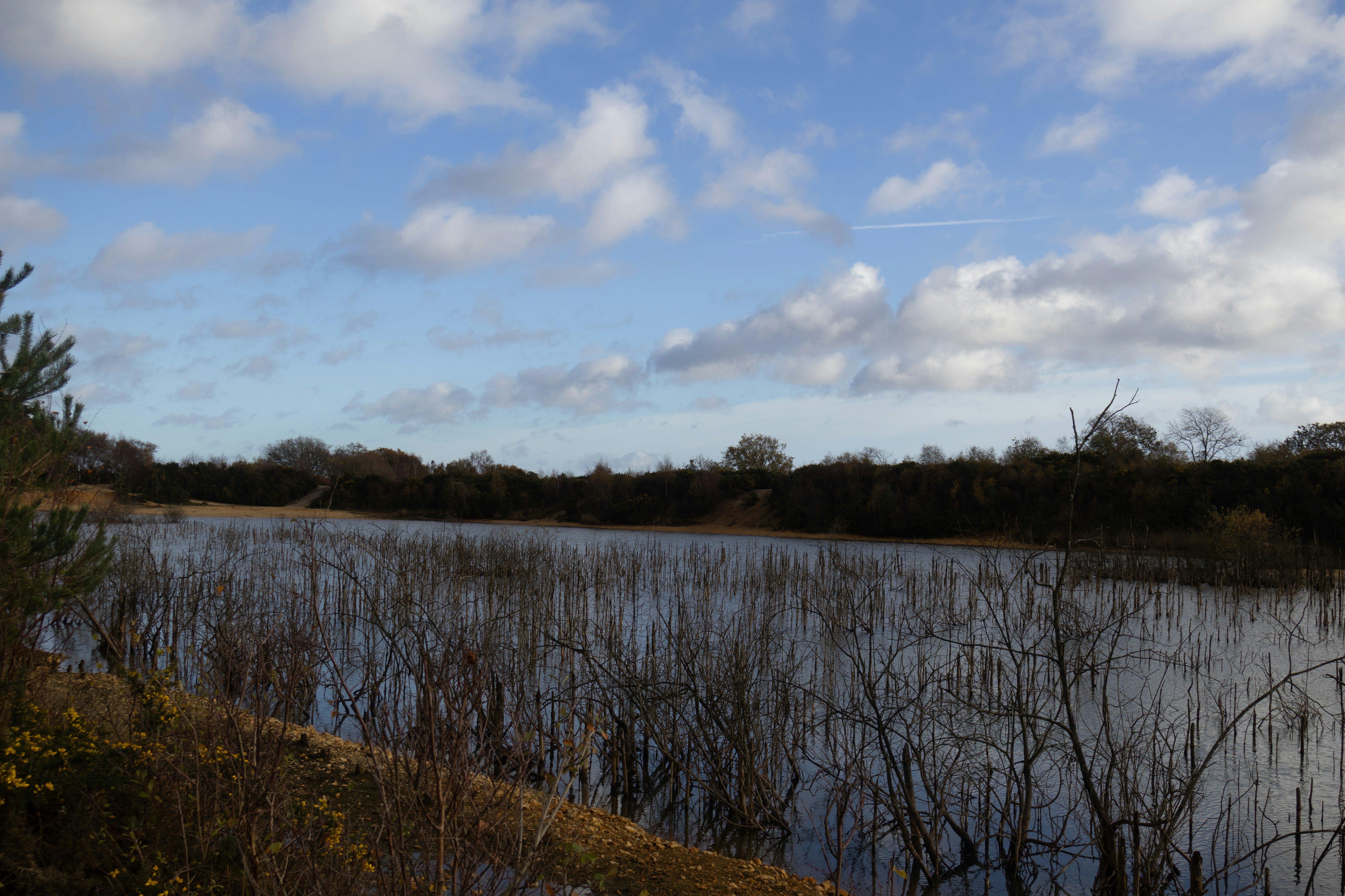 Photo by tanyabarrow