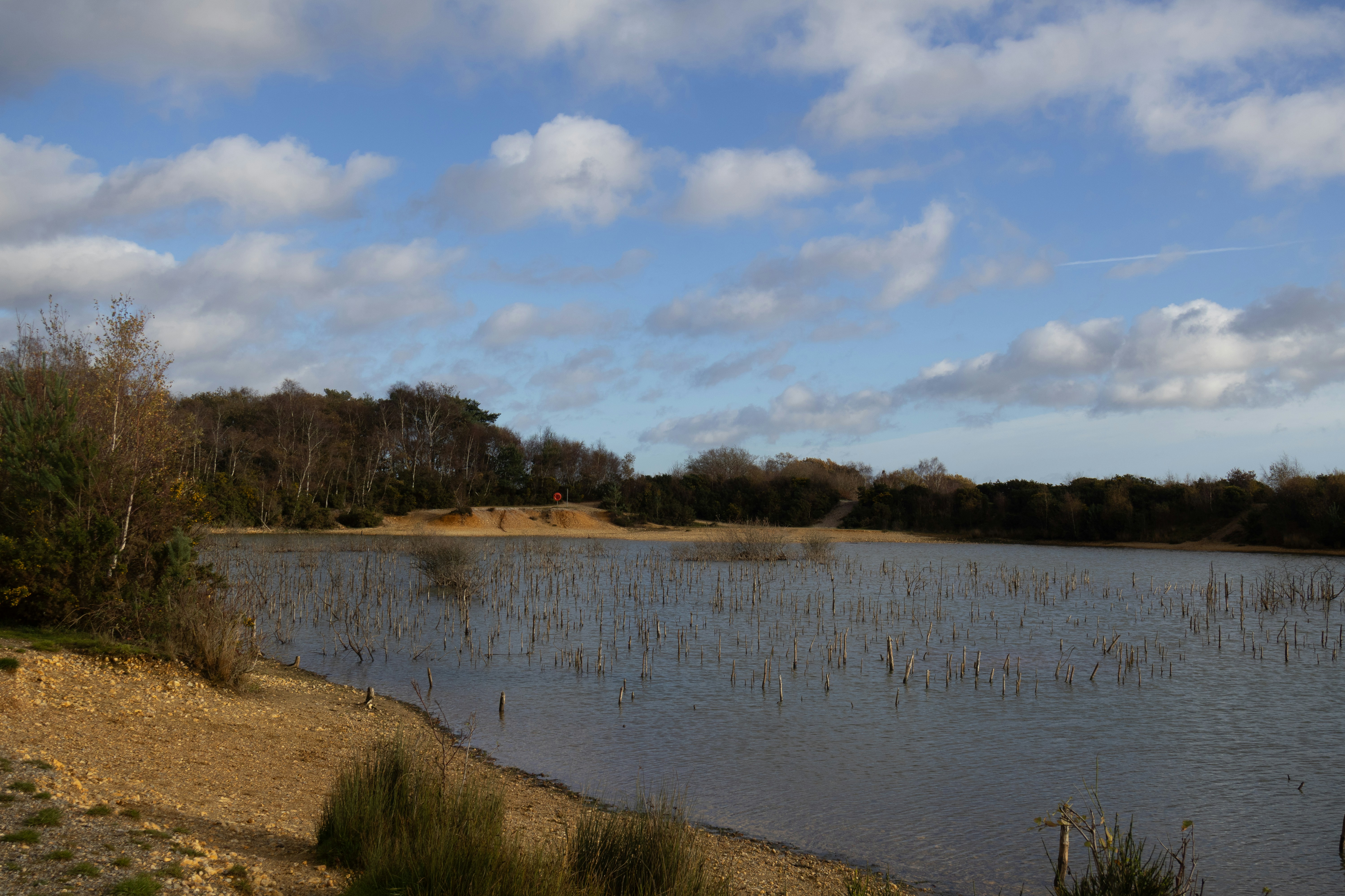 Photo by tanyabarrow