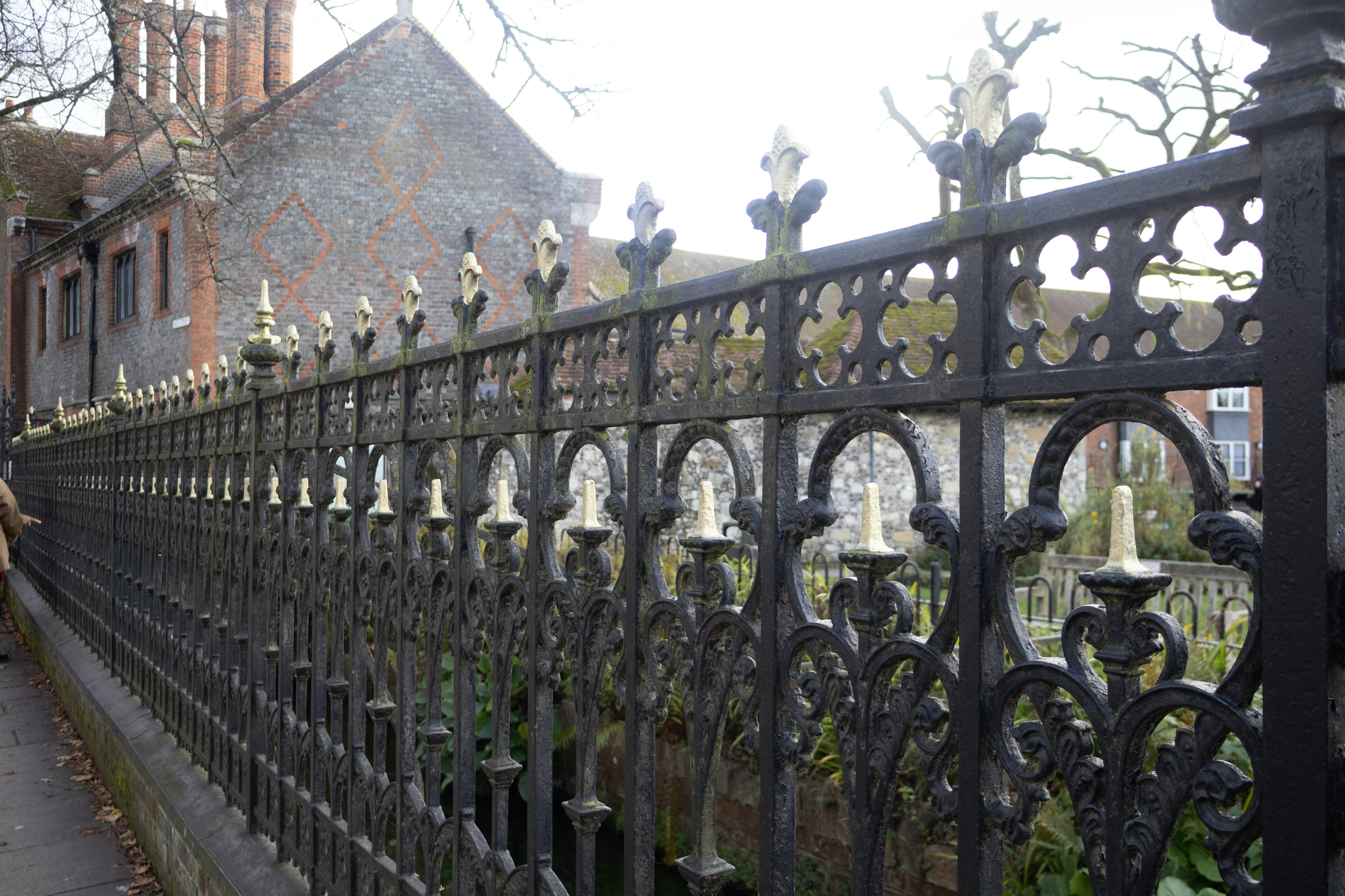 Photo by tanyabarrow