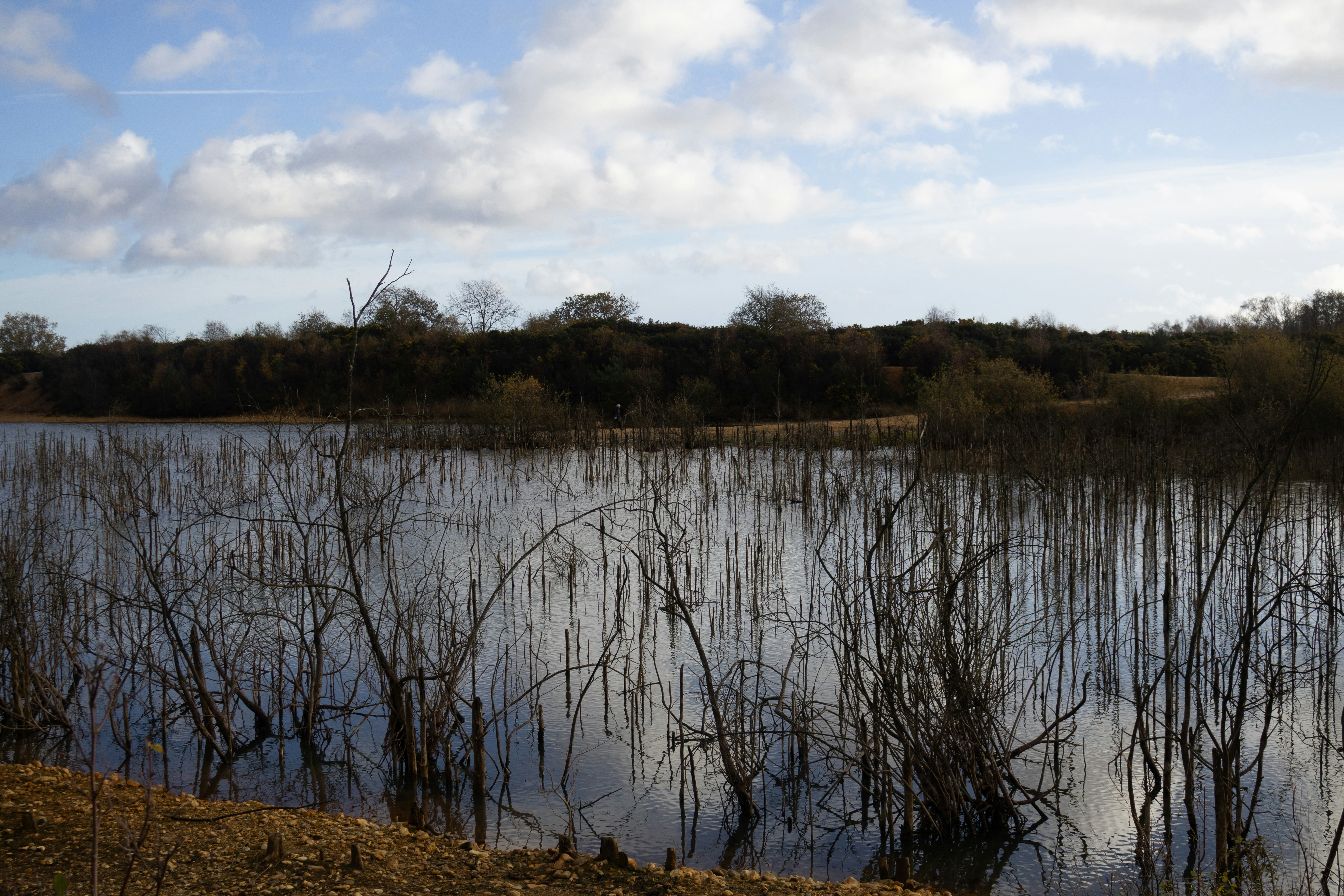 Photo by tanyabarrow