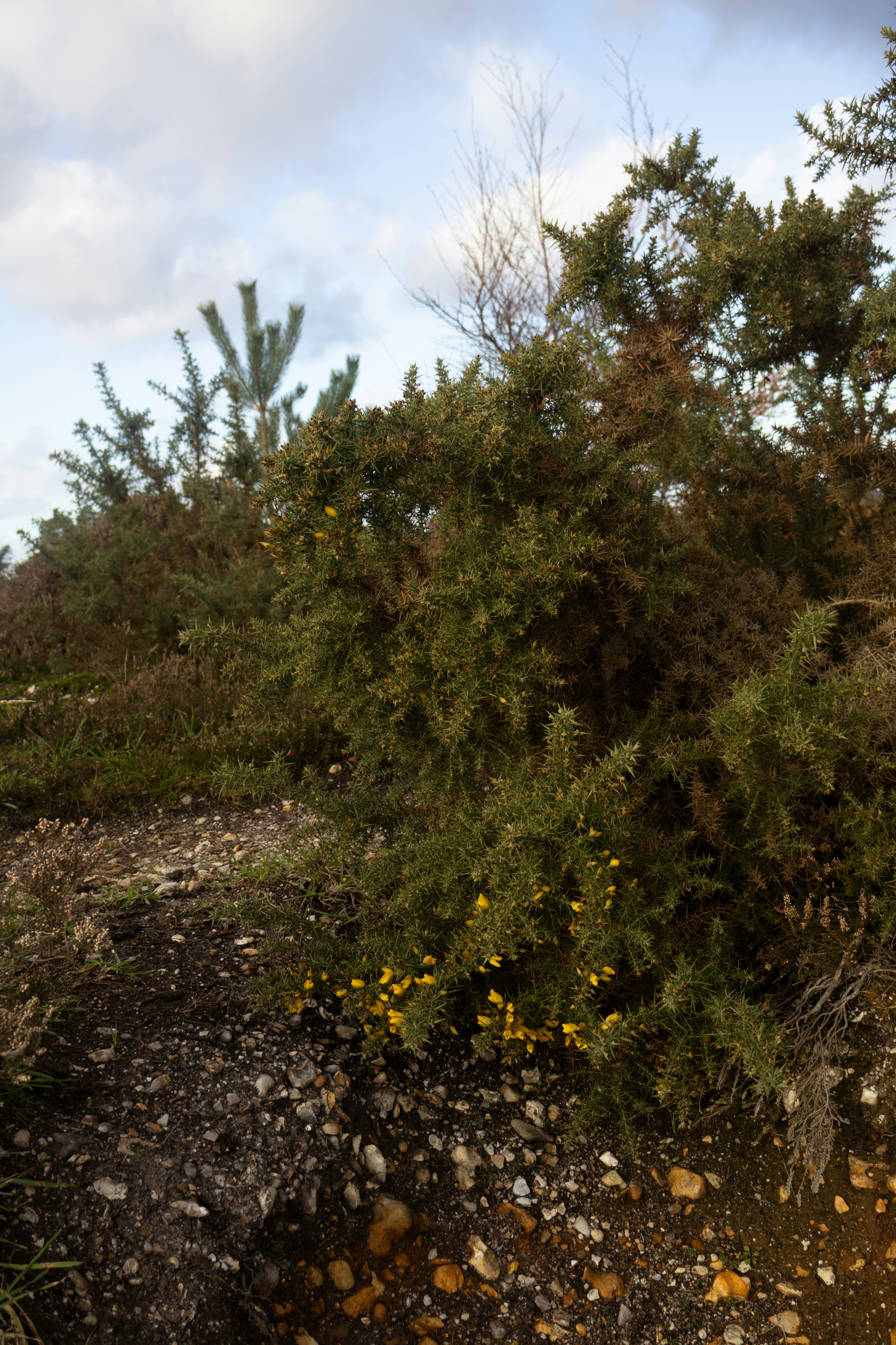 Photo by tanyabarrow