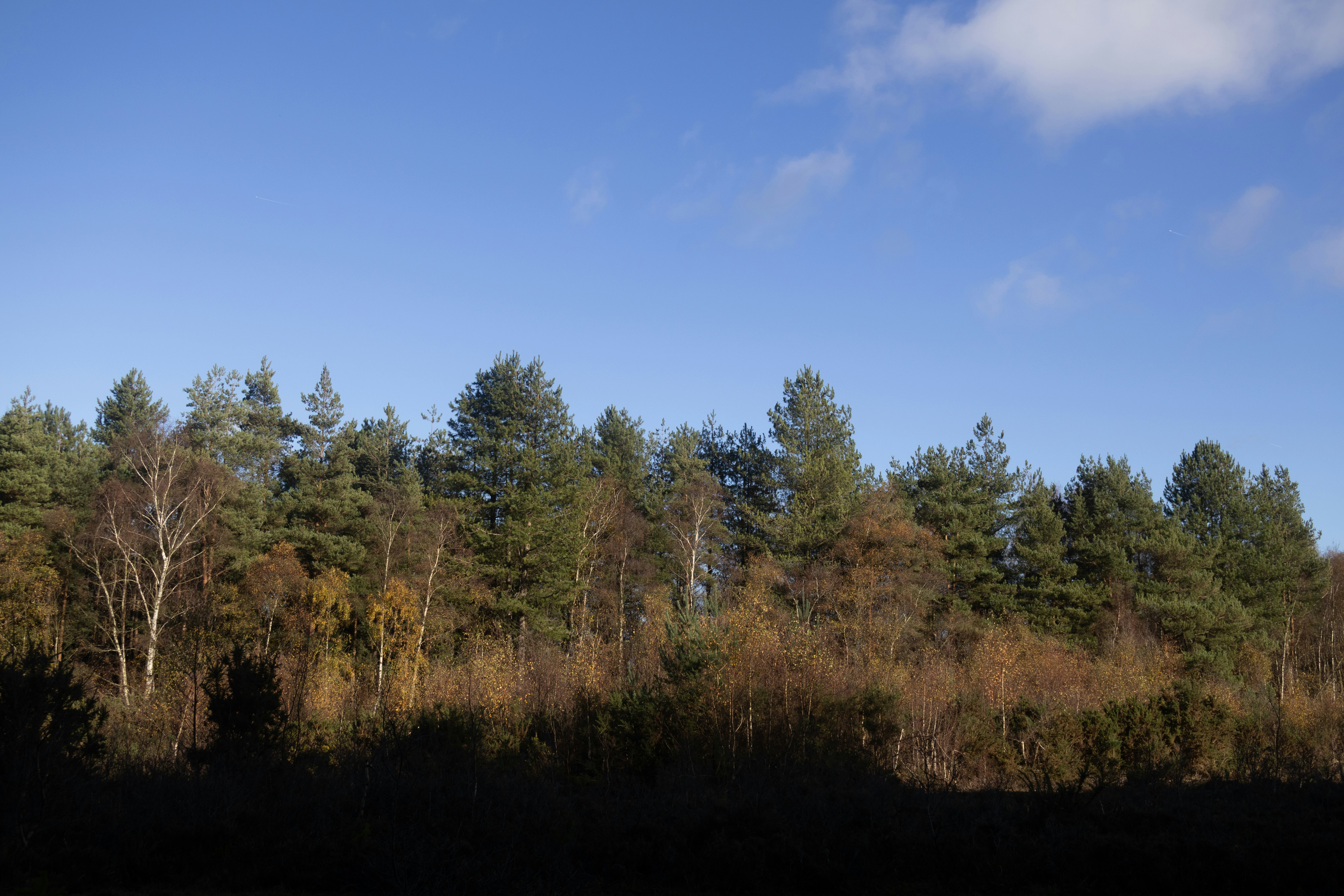 Photo by tanyabarrow