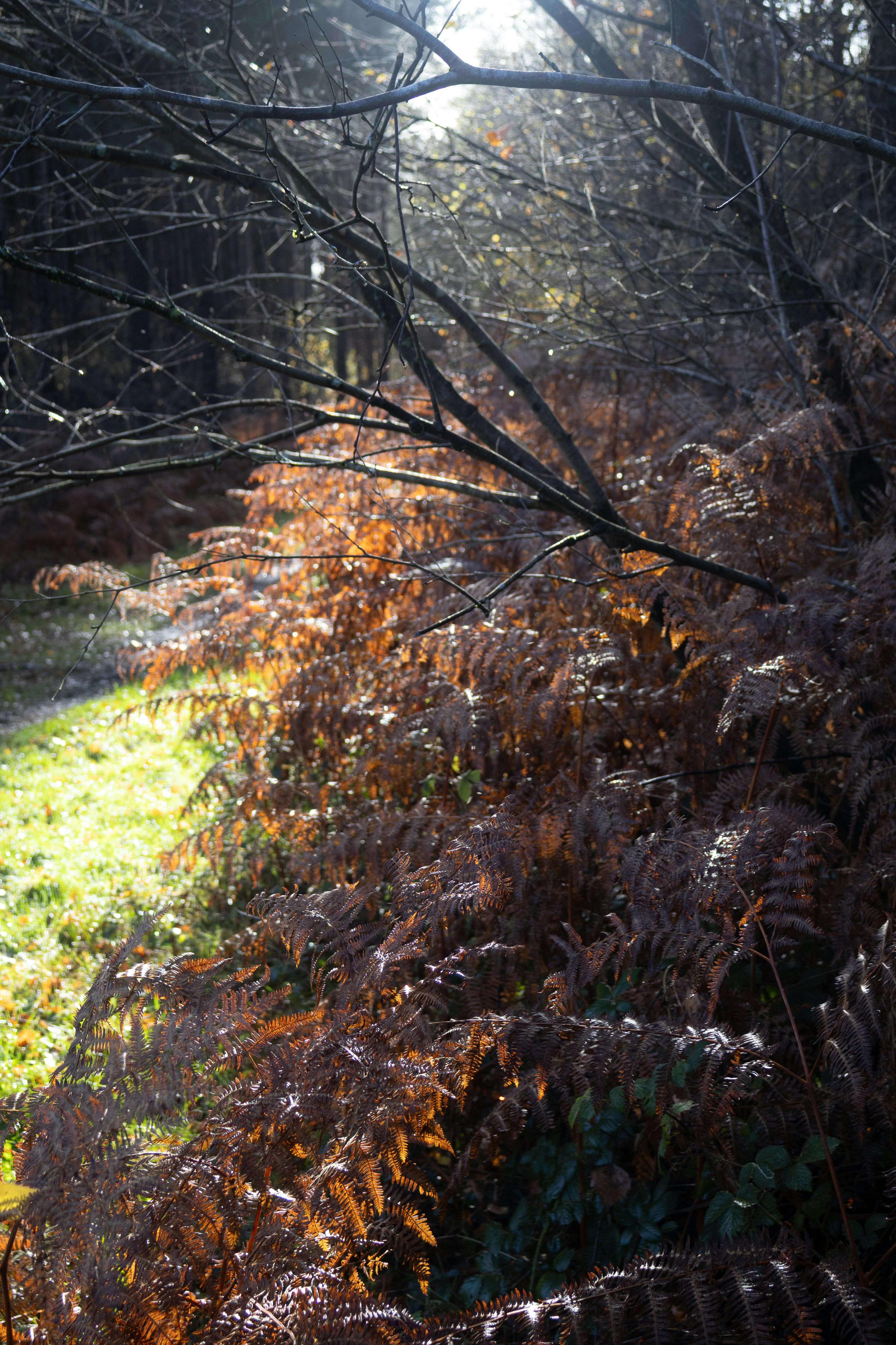 Photo by tanyabarrow